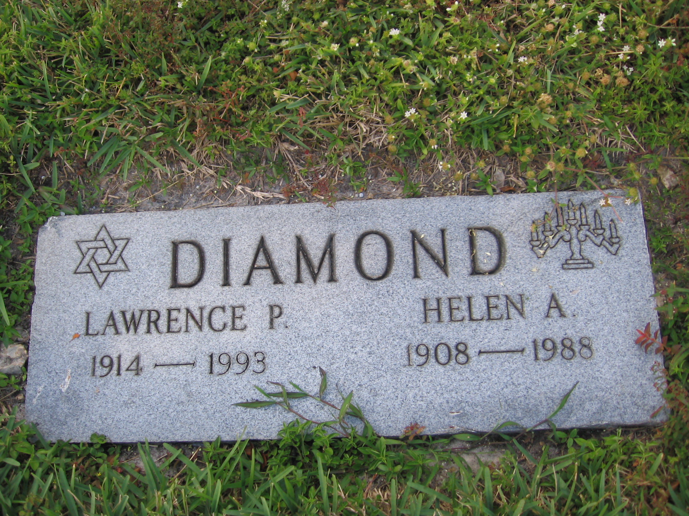 Lawrence P Diamond