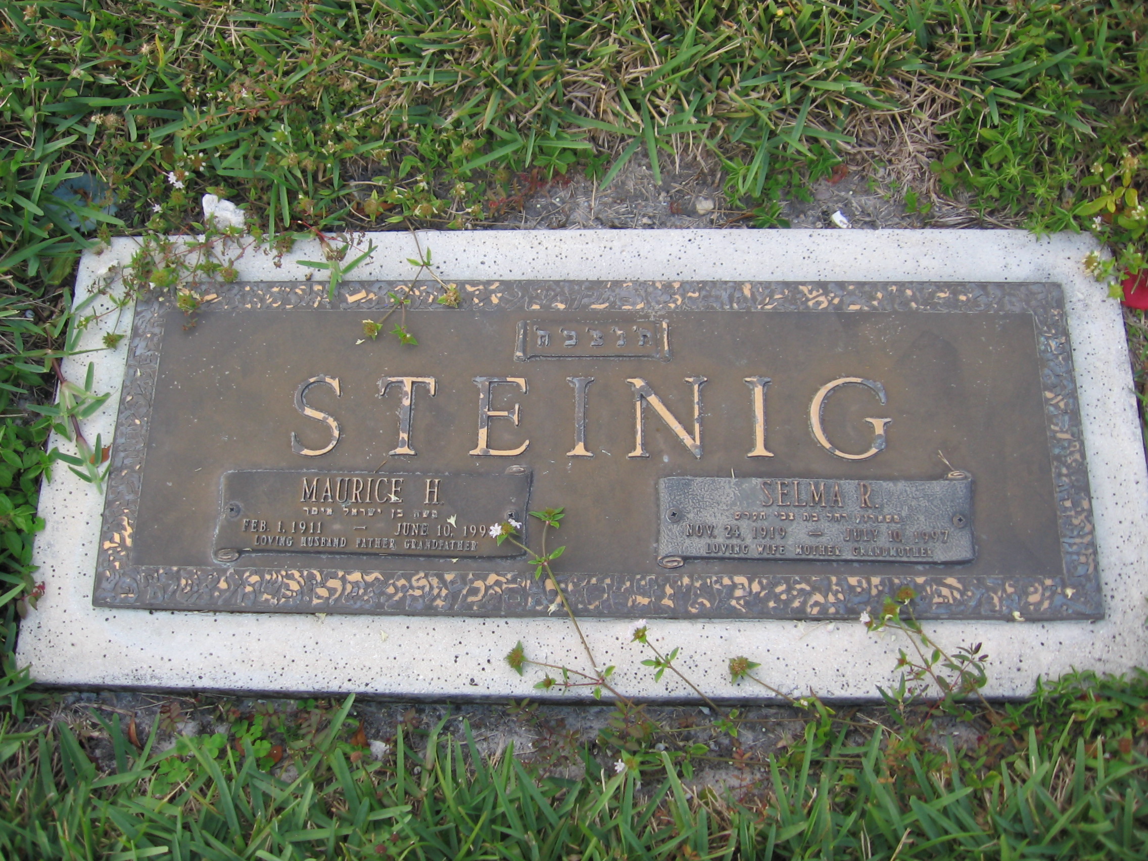 Maurice H Steinig