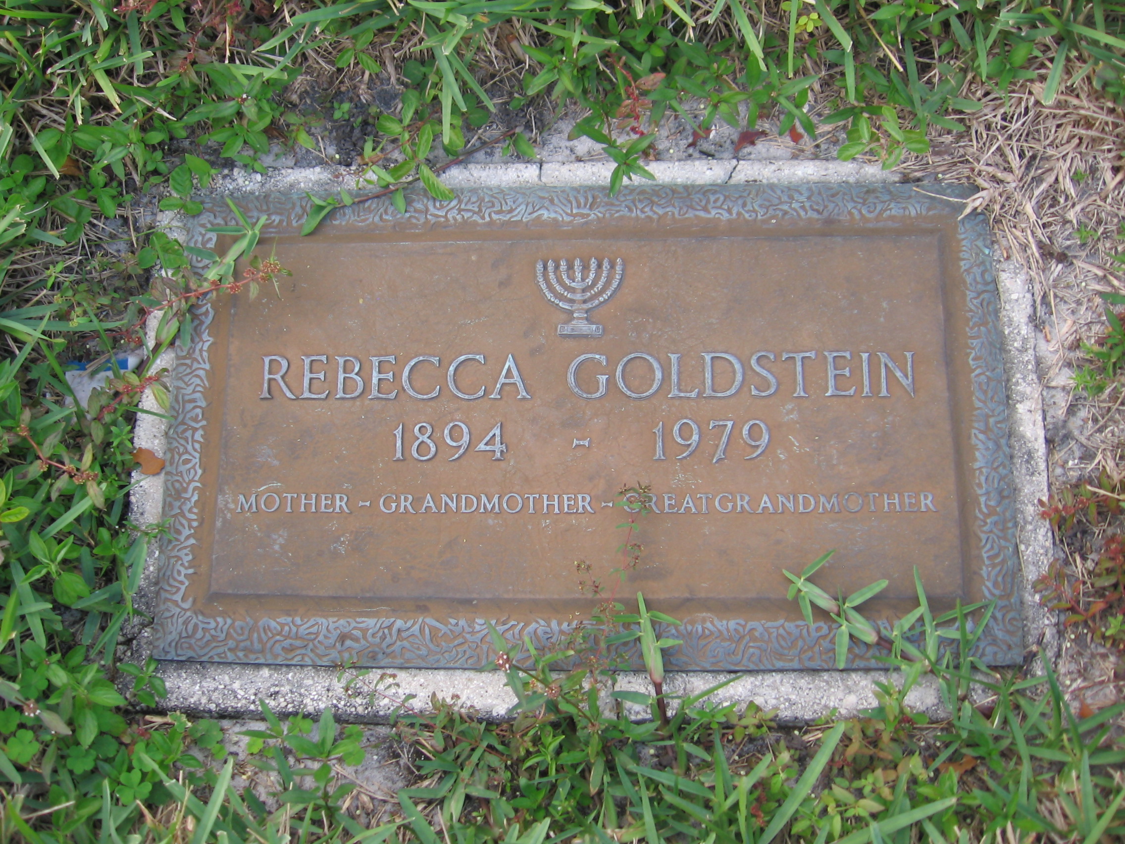 Rebecca Goldstein