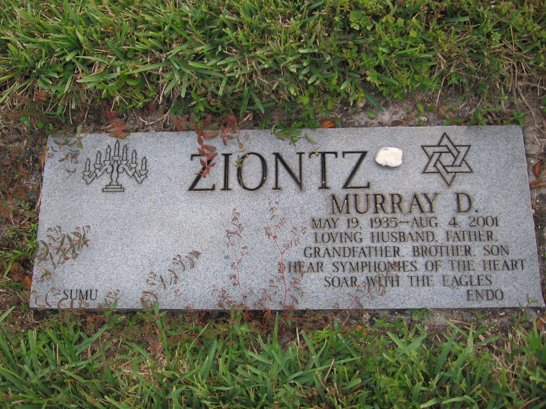 Murray D Ziontz