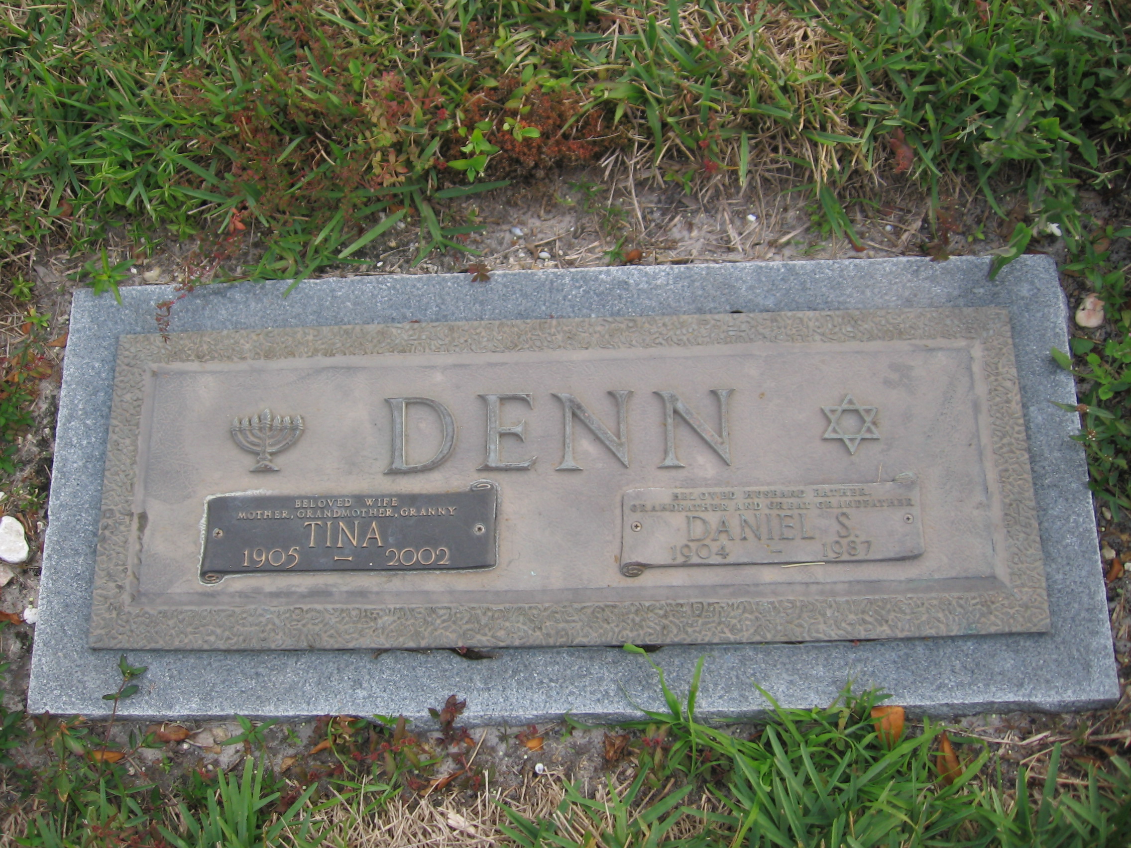 Daniel S Denn