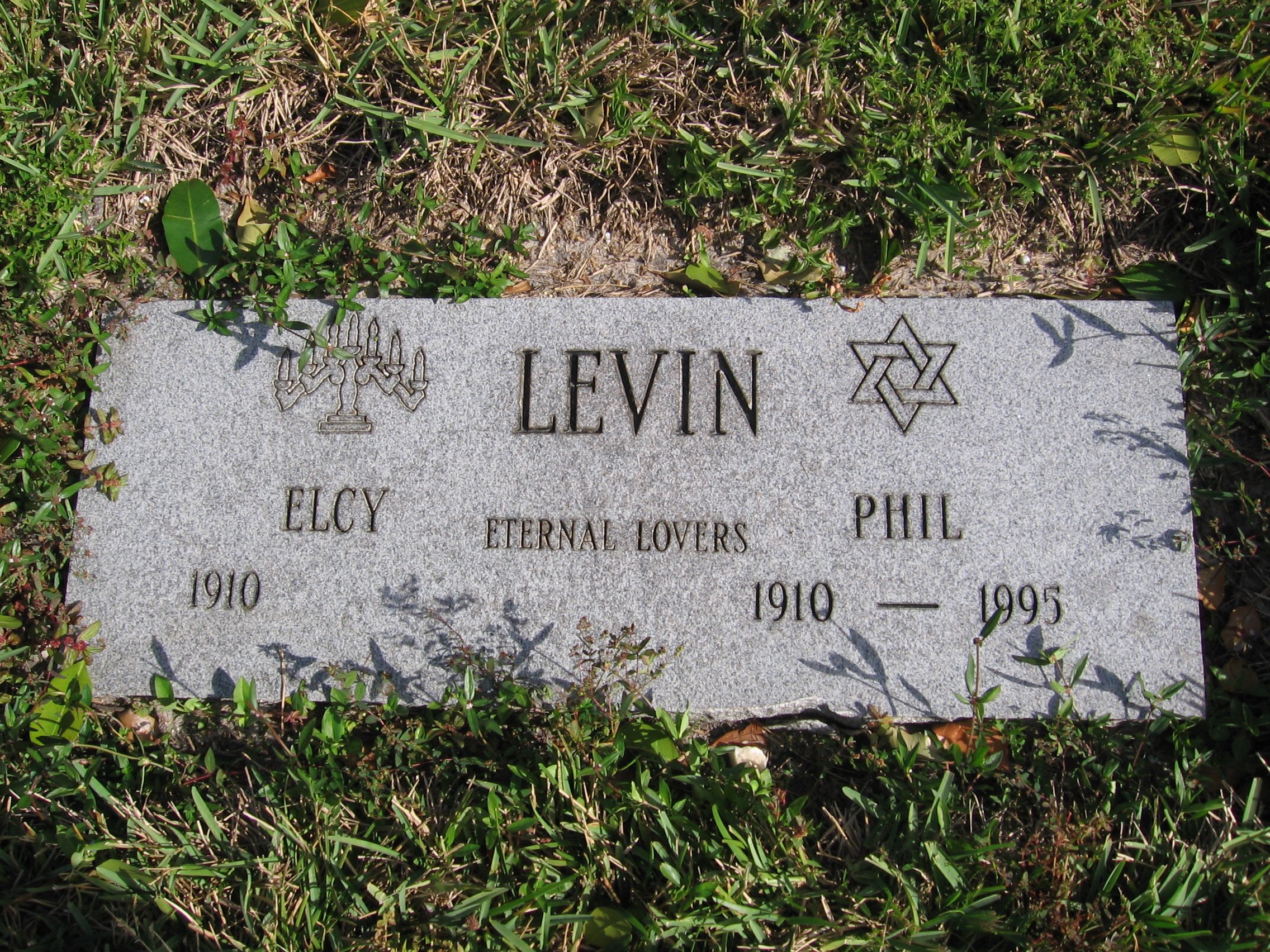 Phil Levin