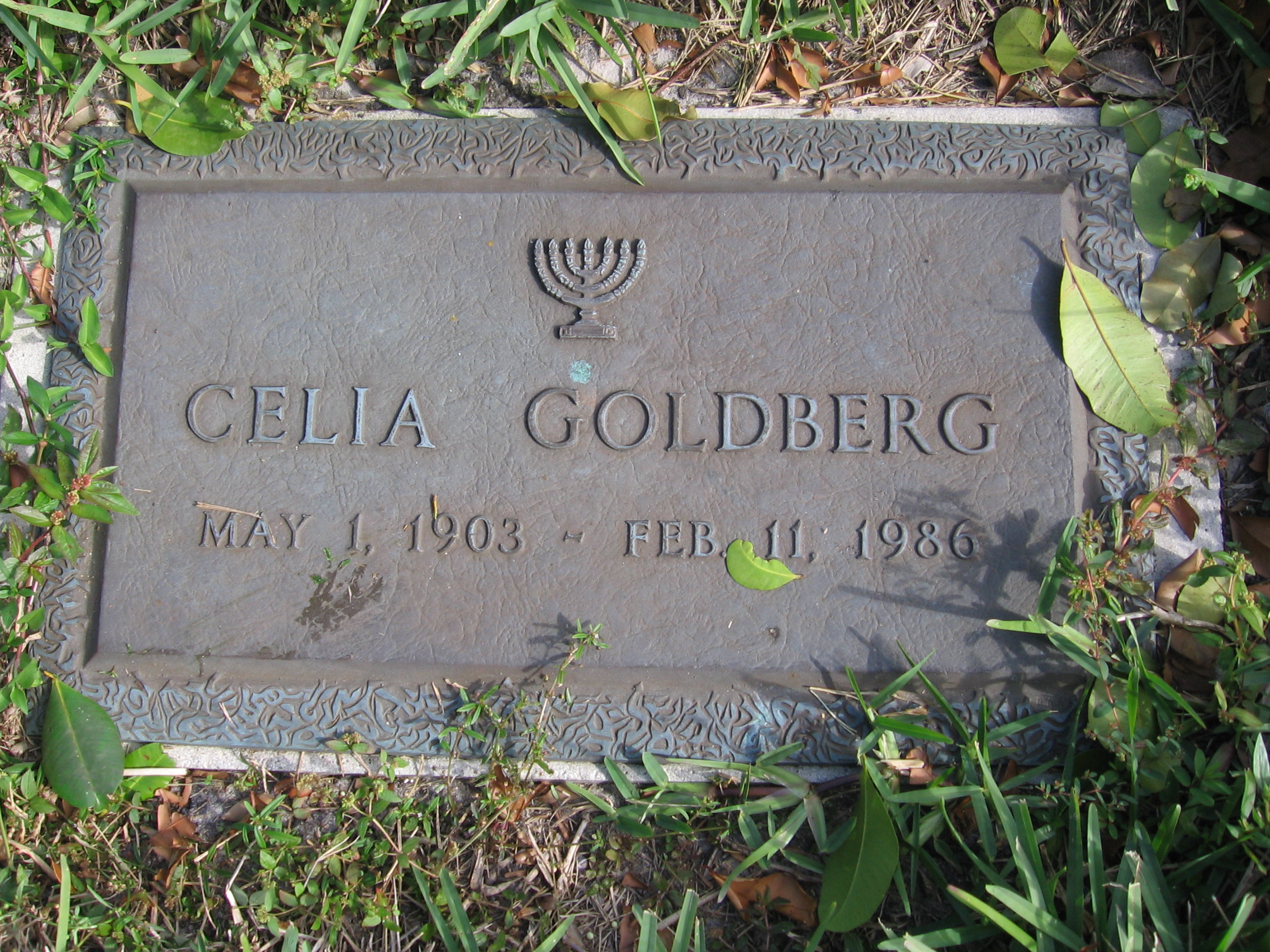 Celia Goldberg
