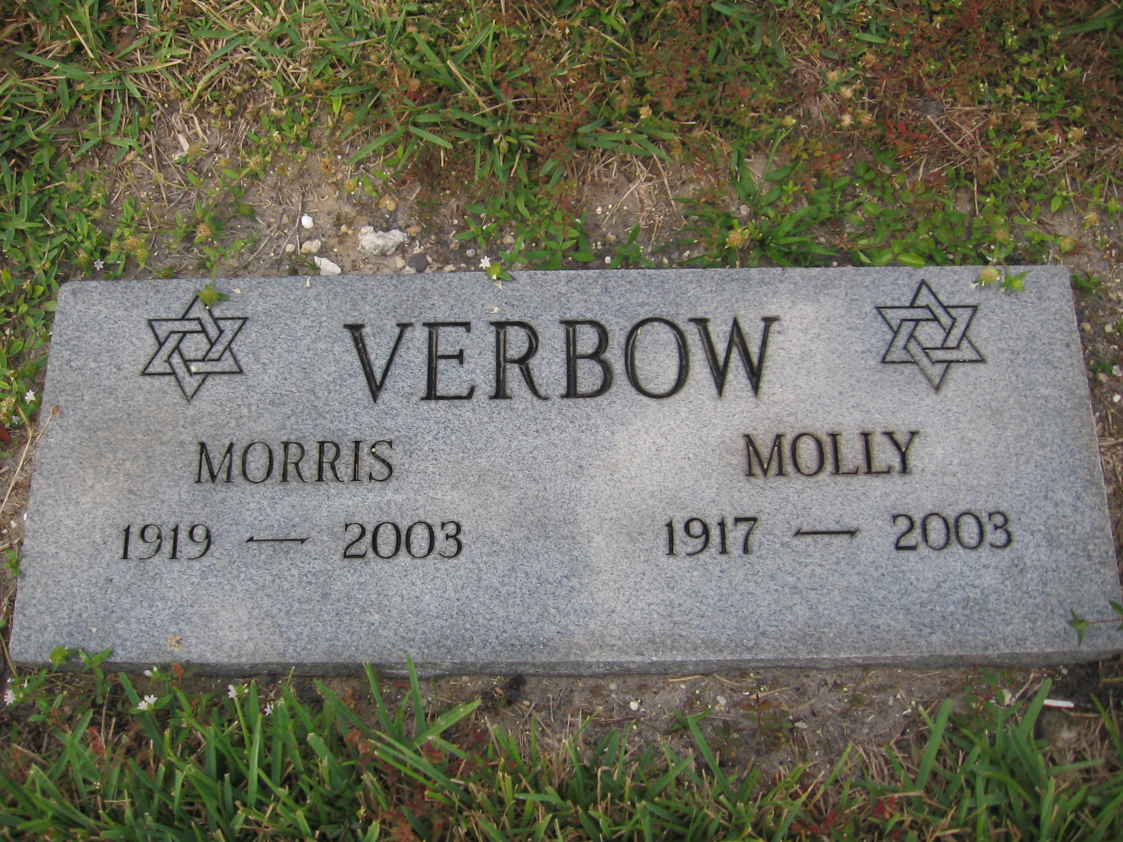 Molly Verbow