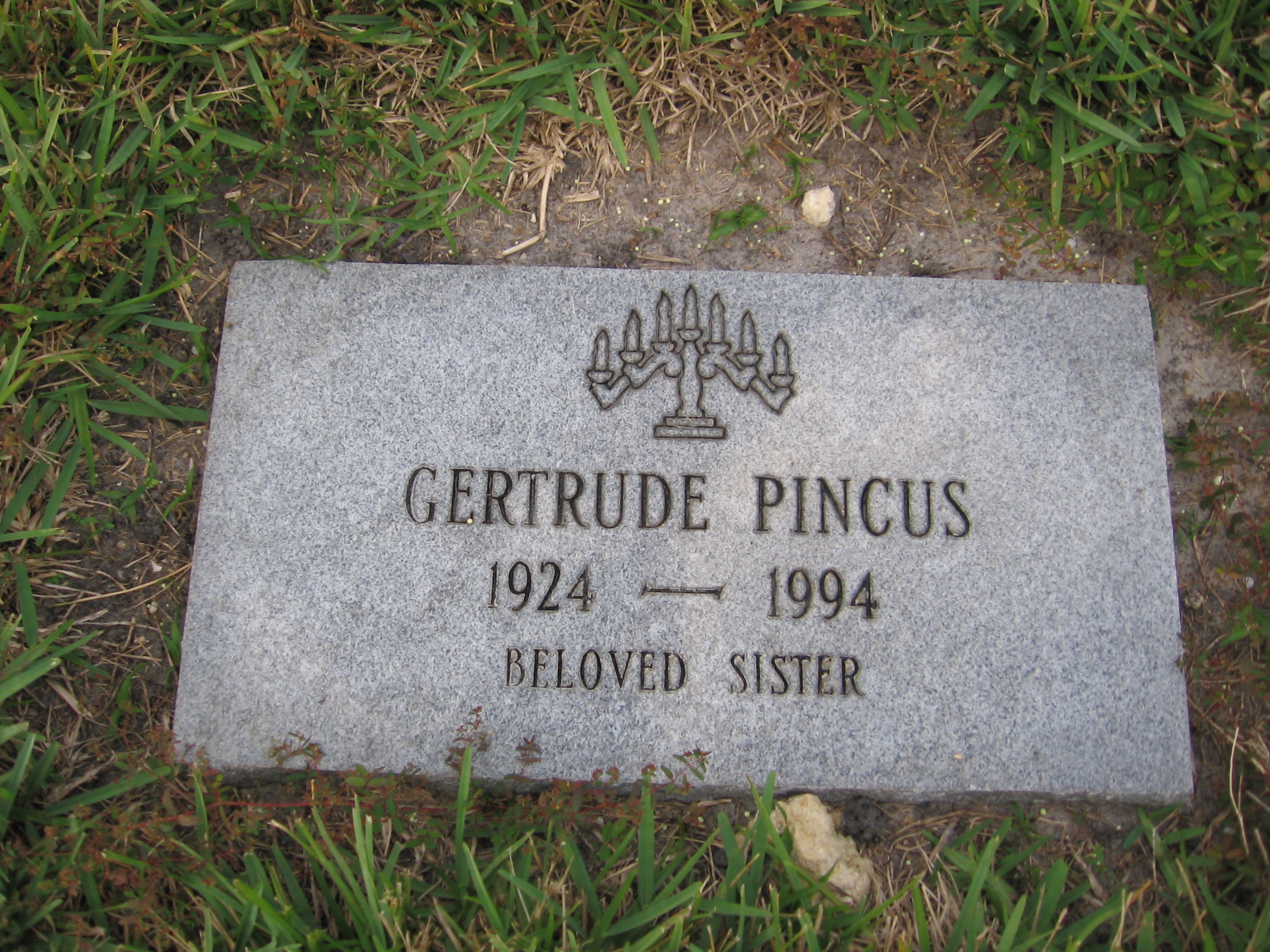 Gertrude Pincus