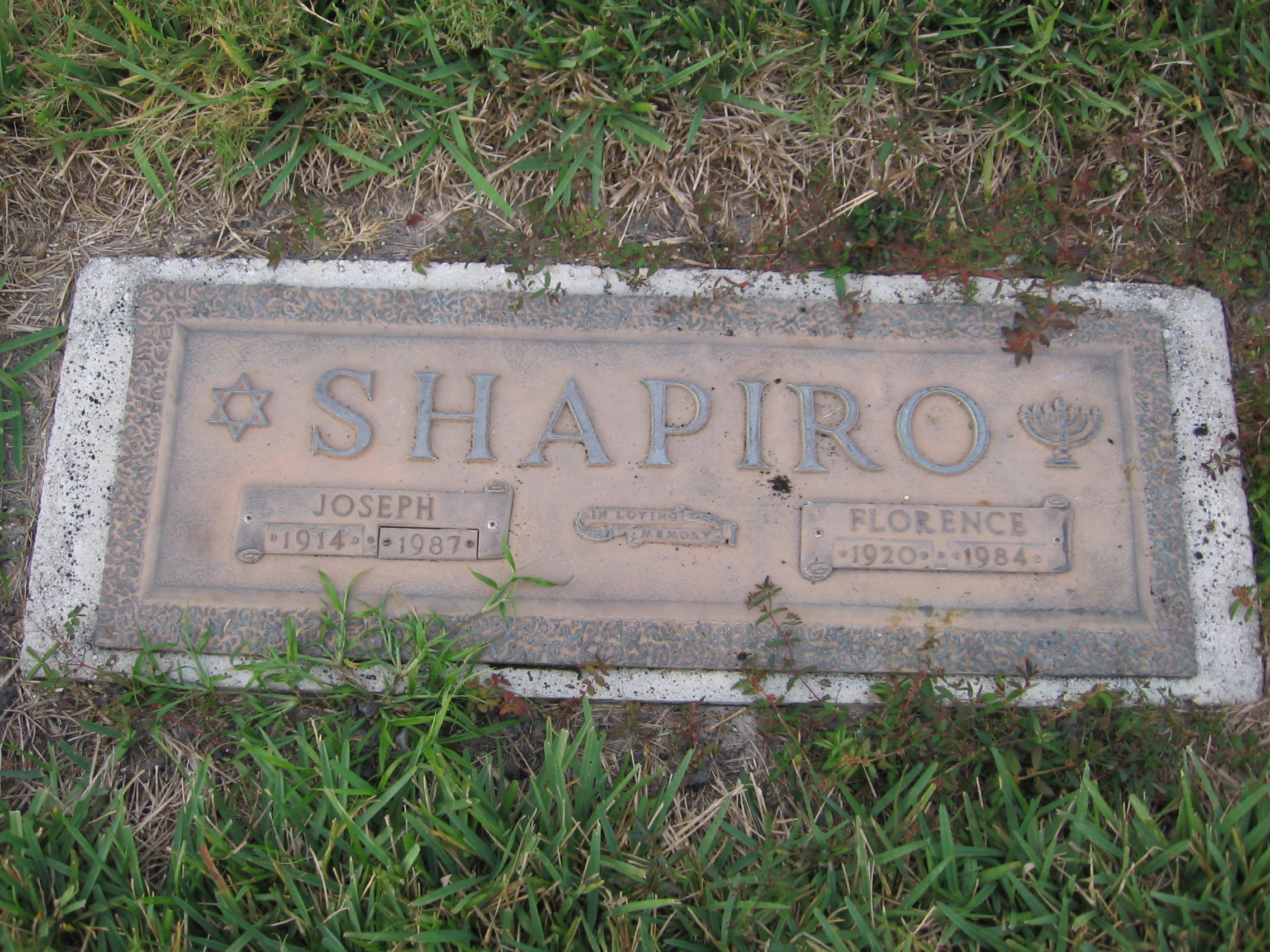 Florence Shapiro