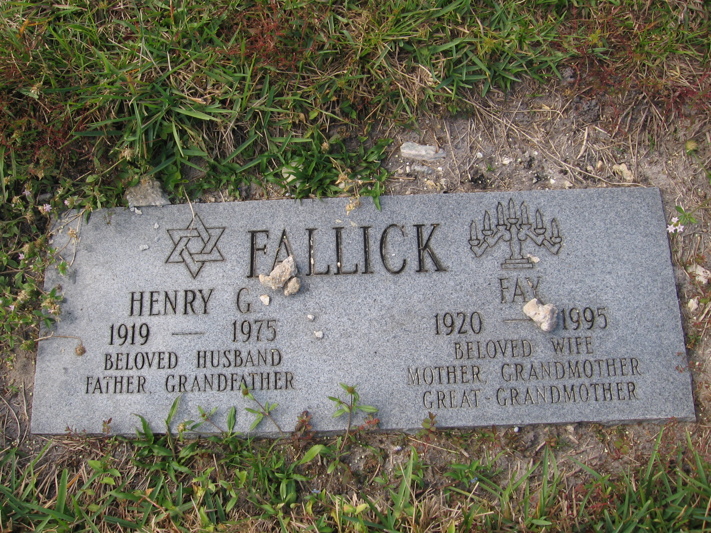 Henry G Fallick