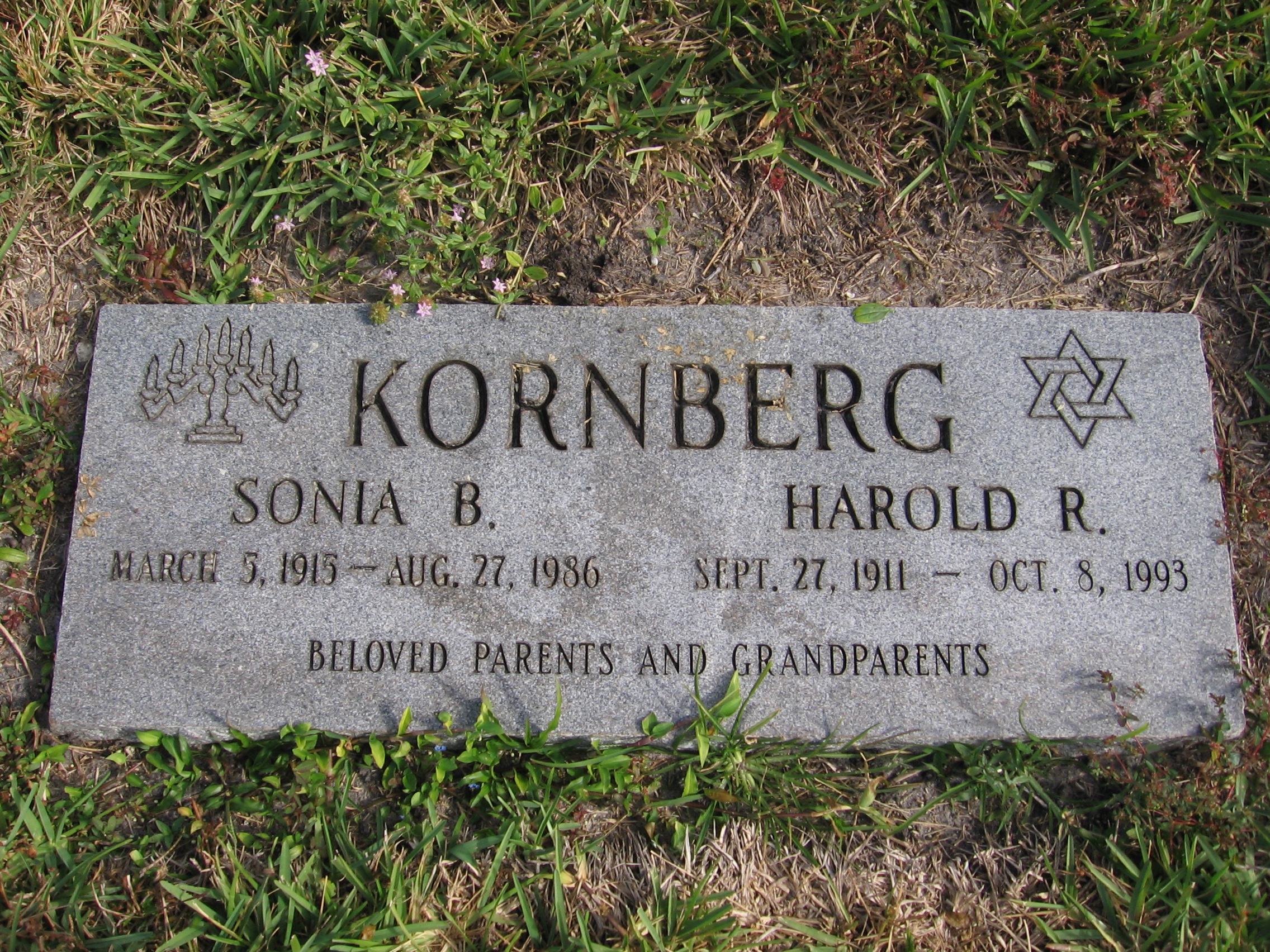 Harold R Kornberg