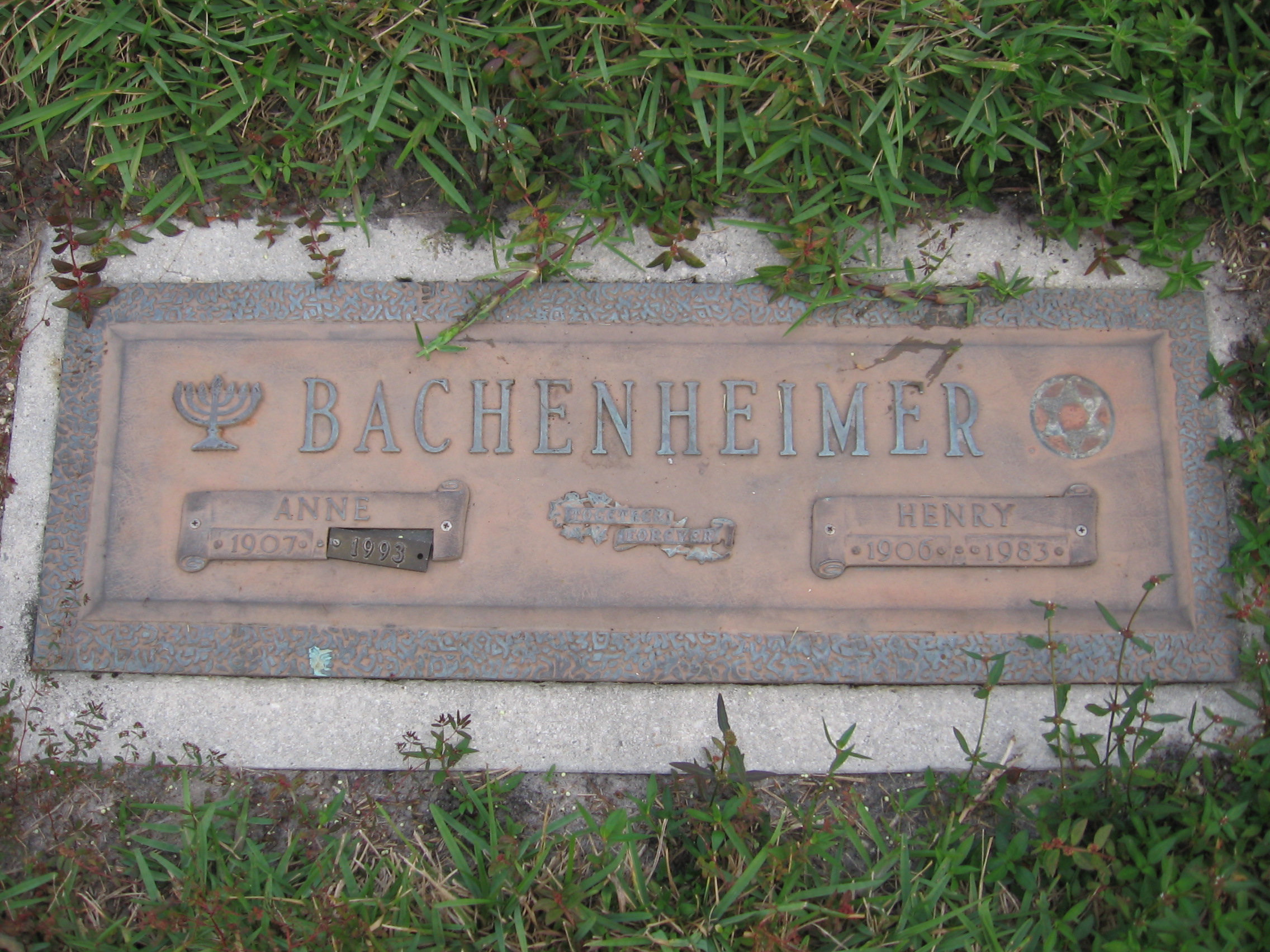 Henry Bachenheimer