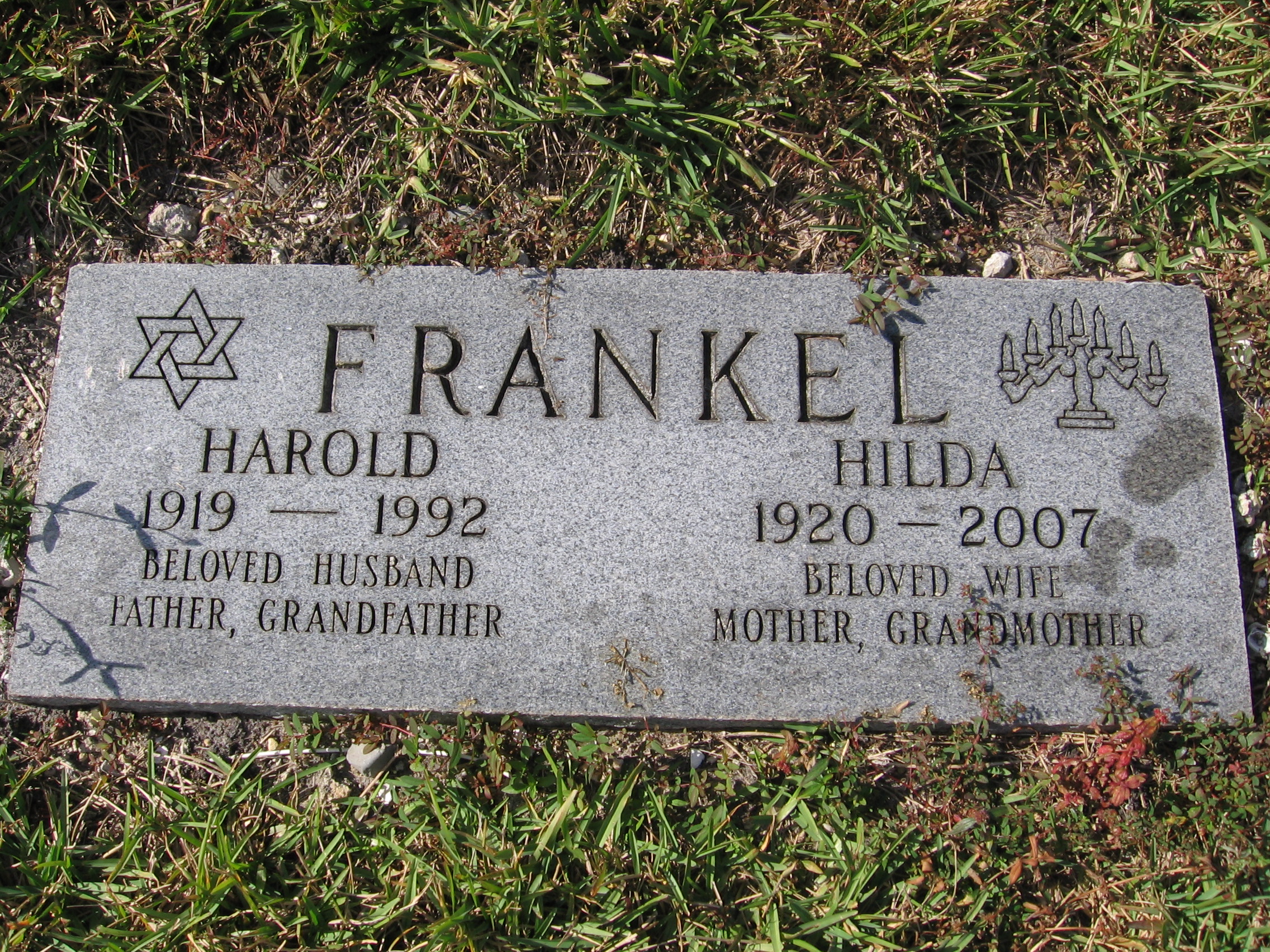 Harold Frankel