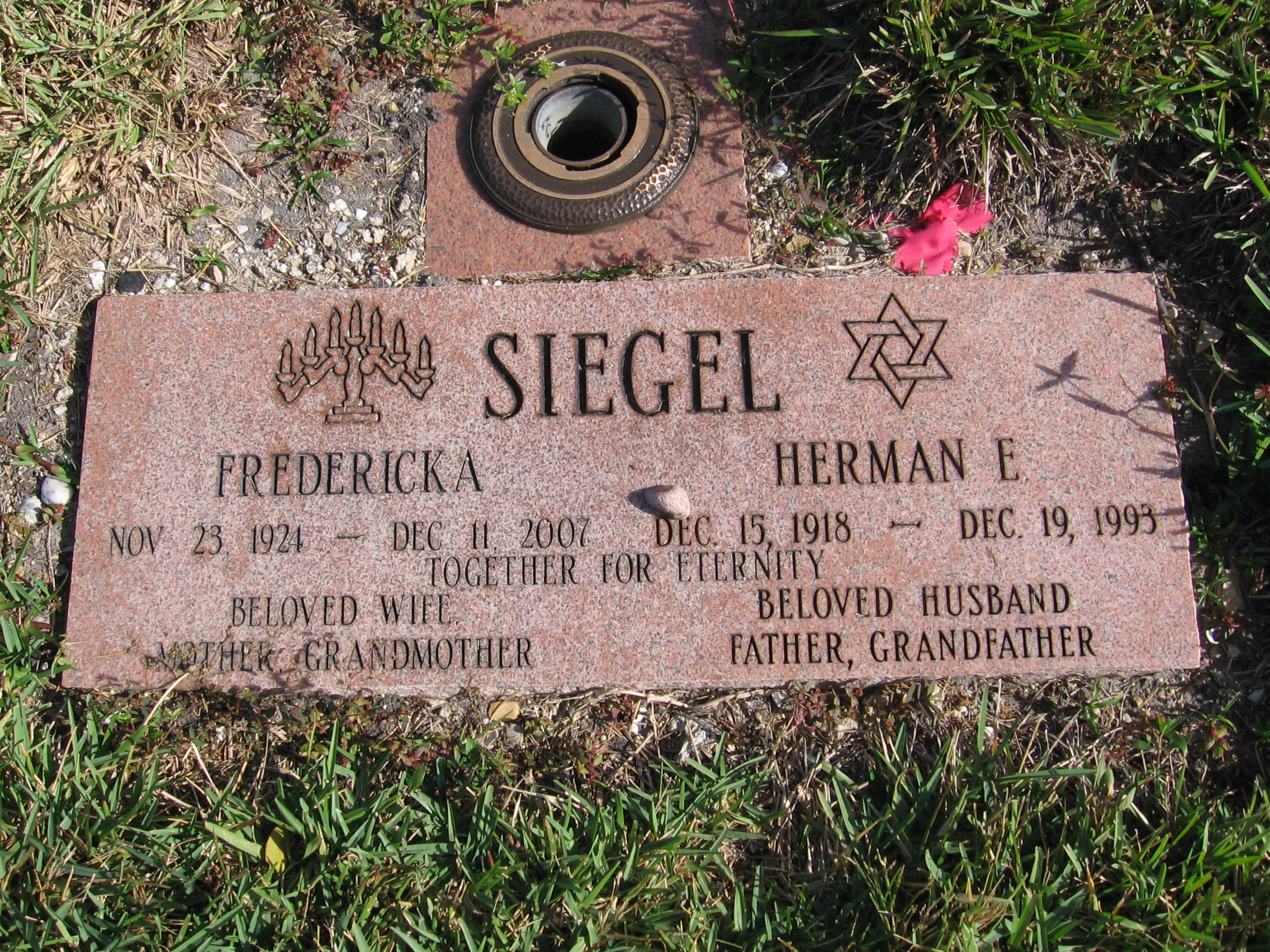 Fredericka Siegel