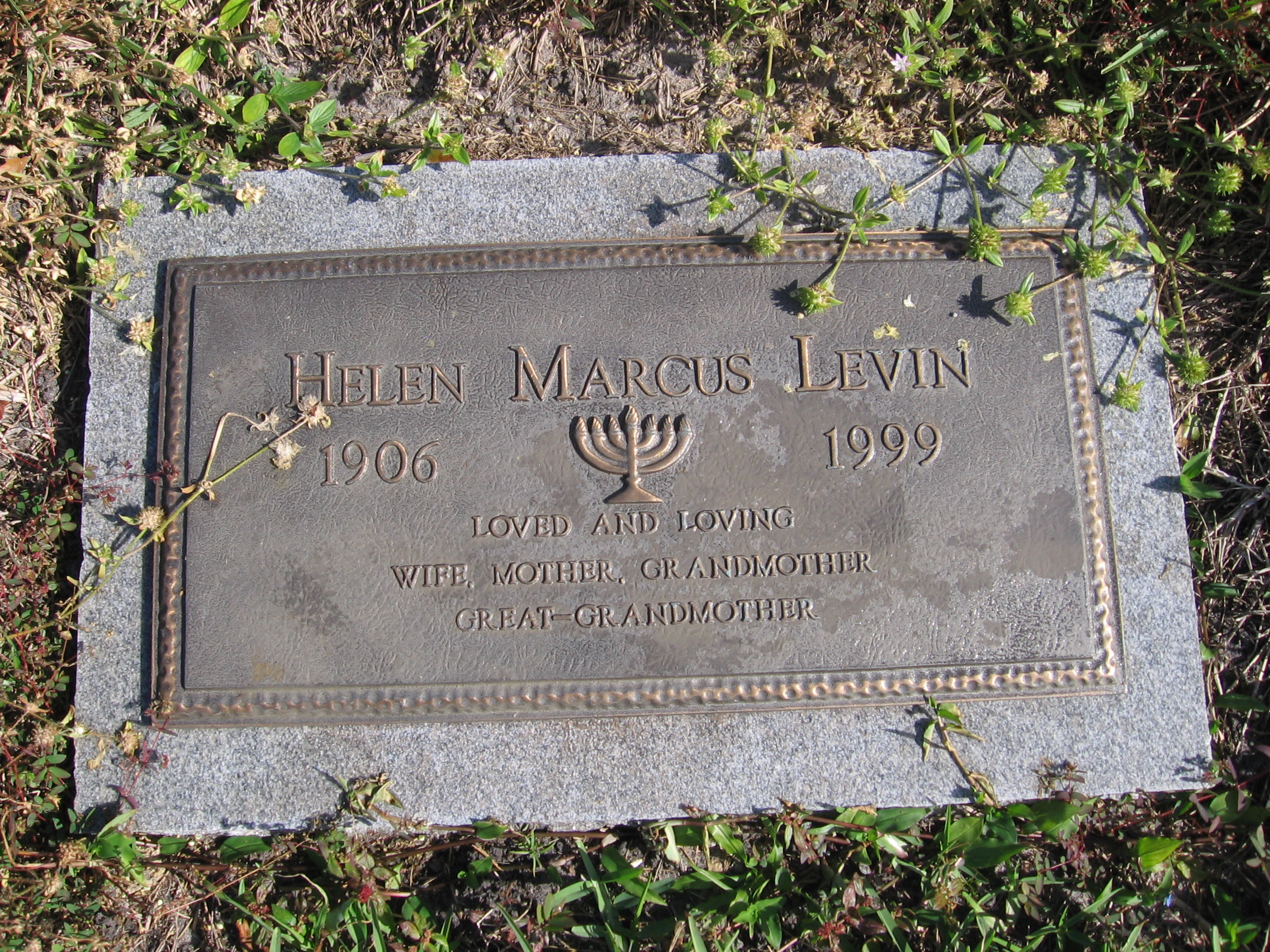 Helen Marcus Levin