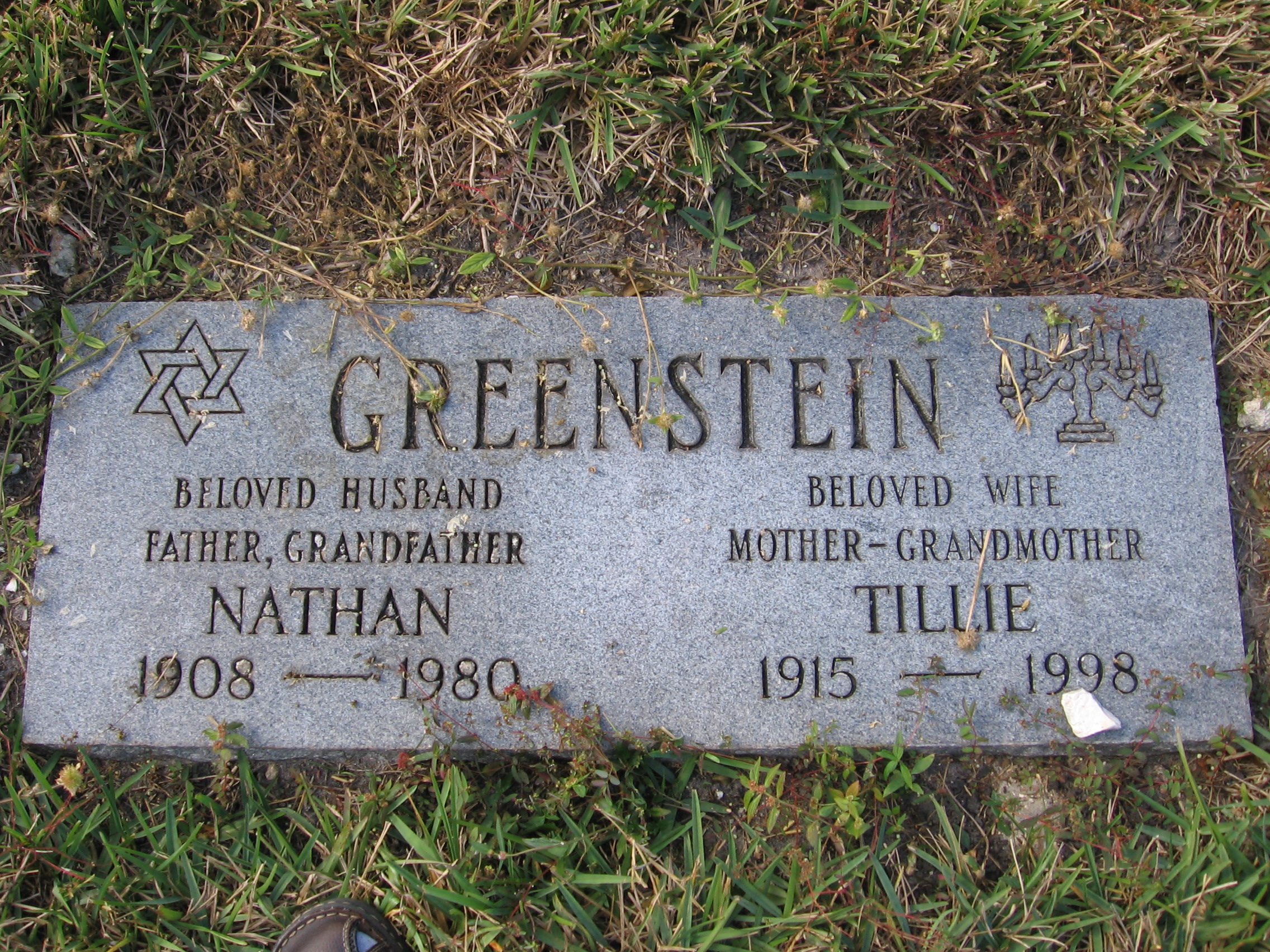 Nathan Greenstein