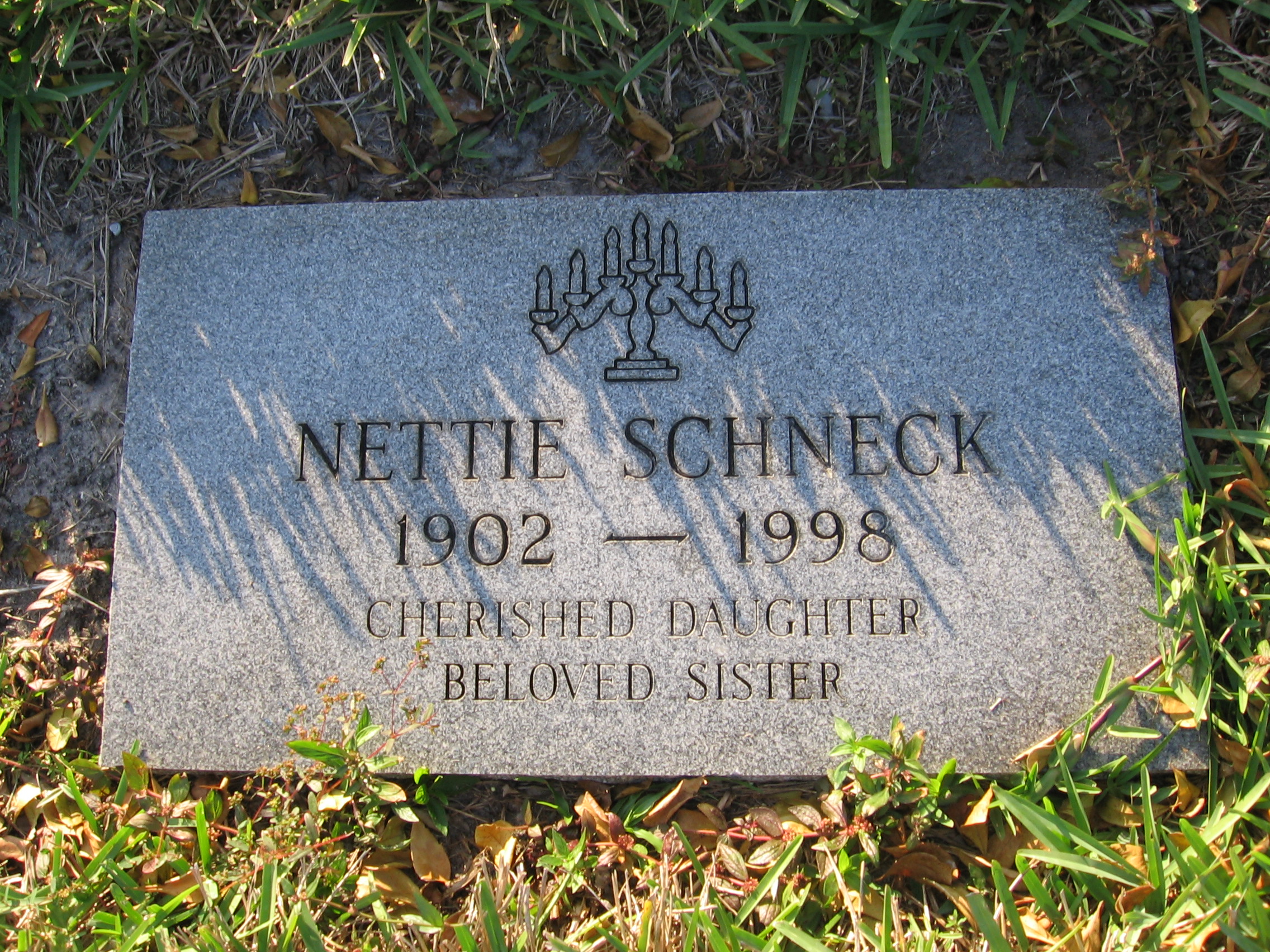Nettie Schneck