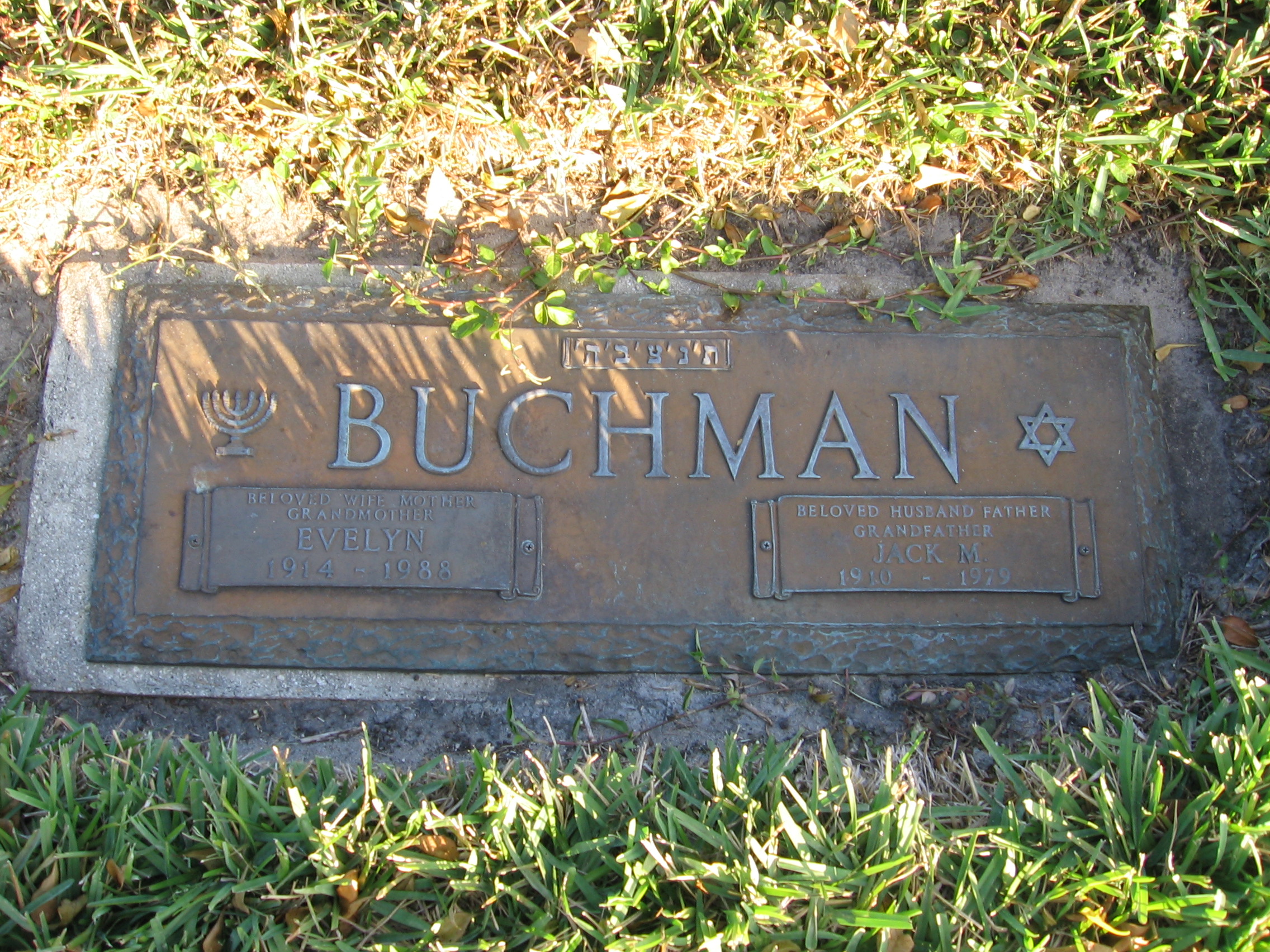 Evelyn Buchman