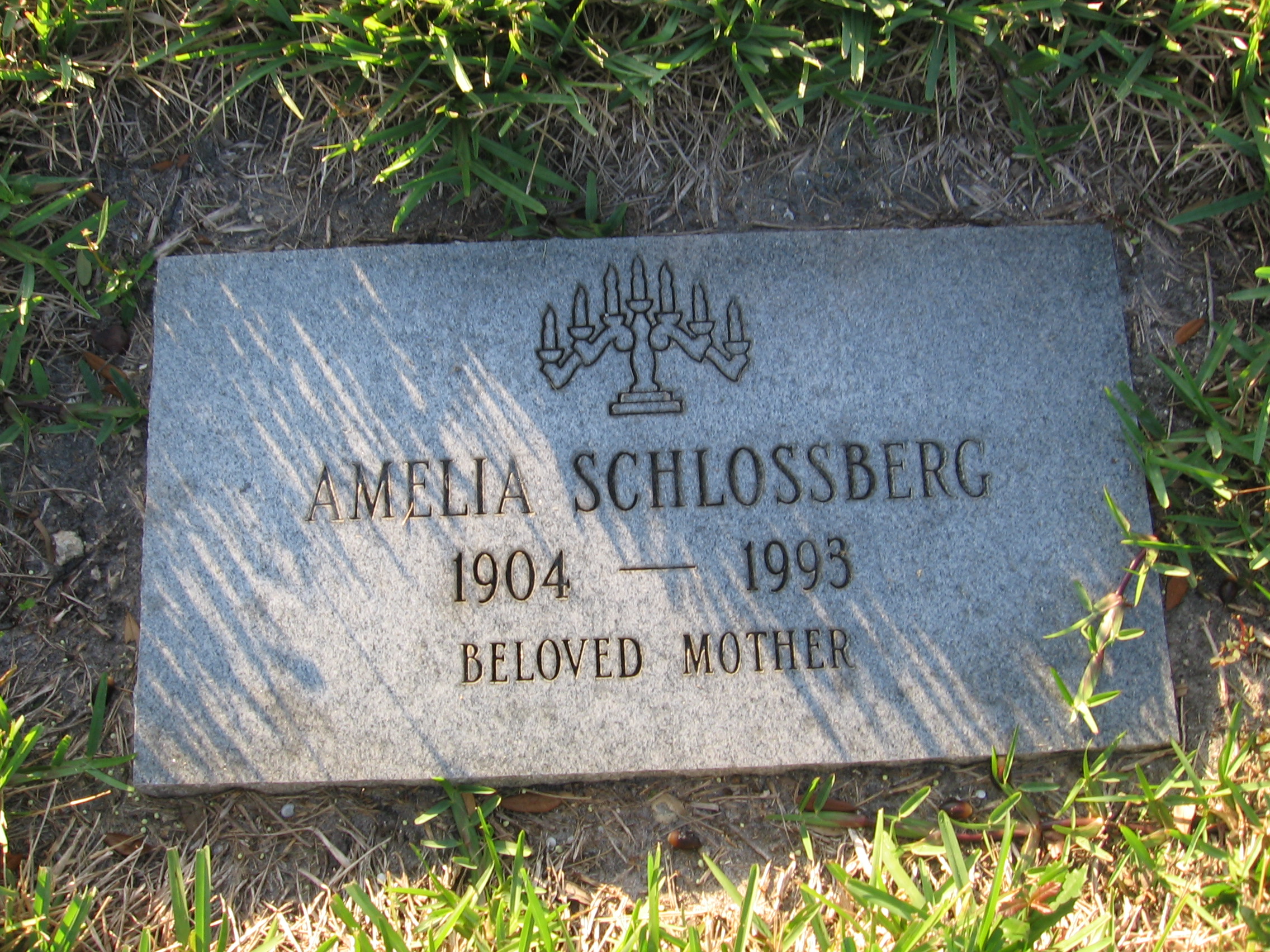 Amelia Schlossberg