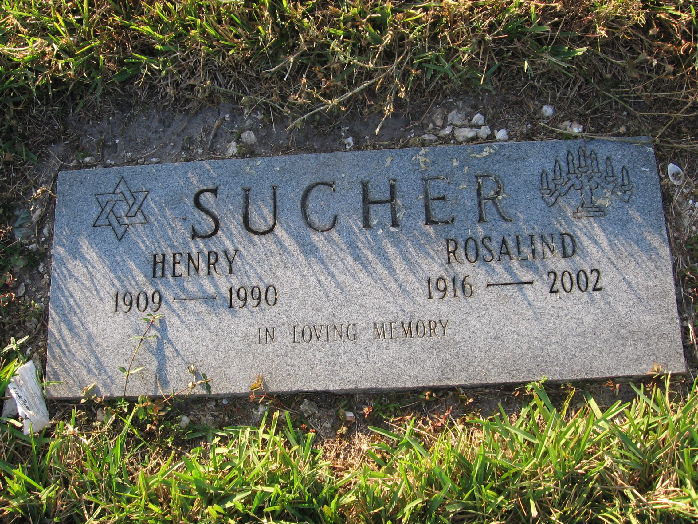 Henry Sucher