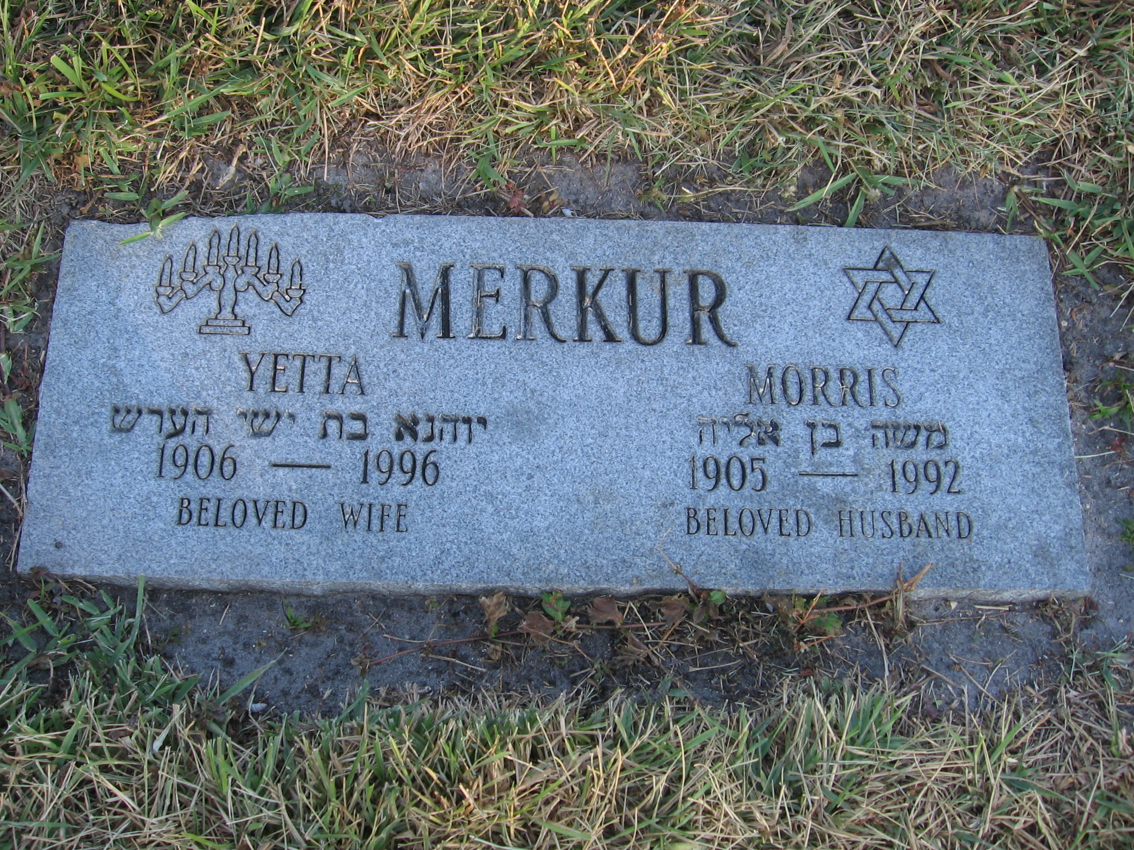 Morris Merkur