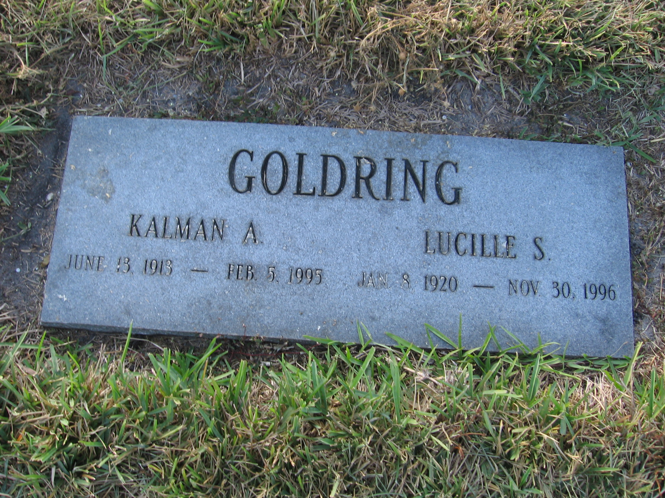 Lucille S Goldring