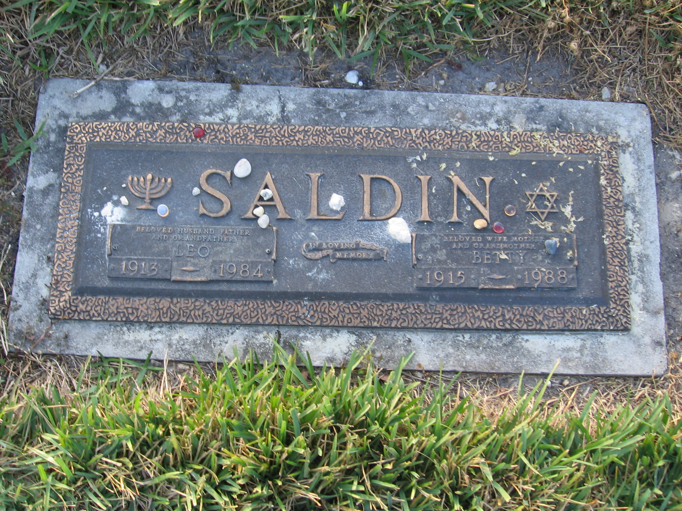 Leo Saldin