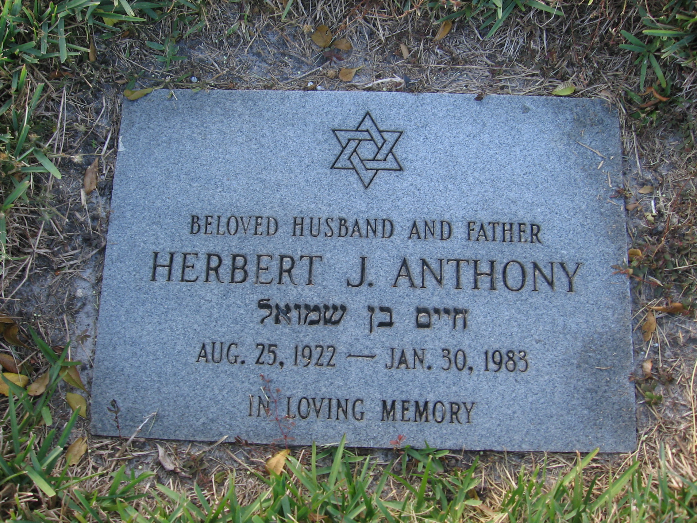 Herbert J Anthony