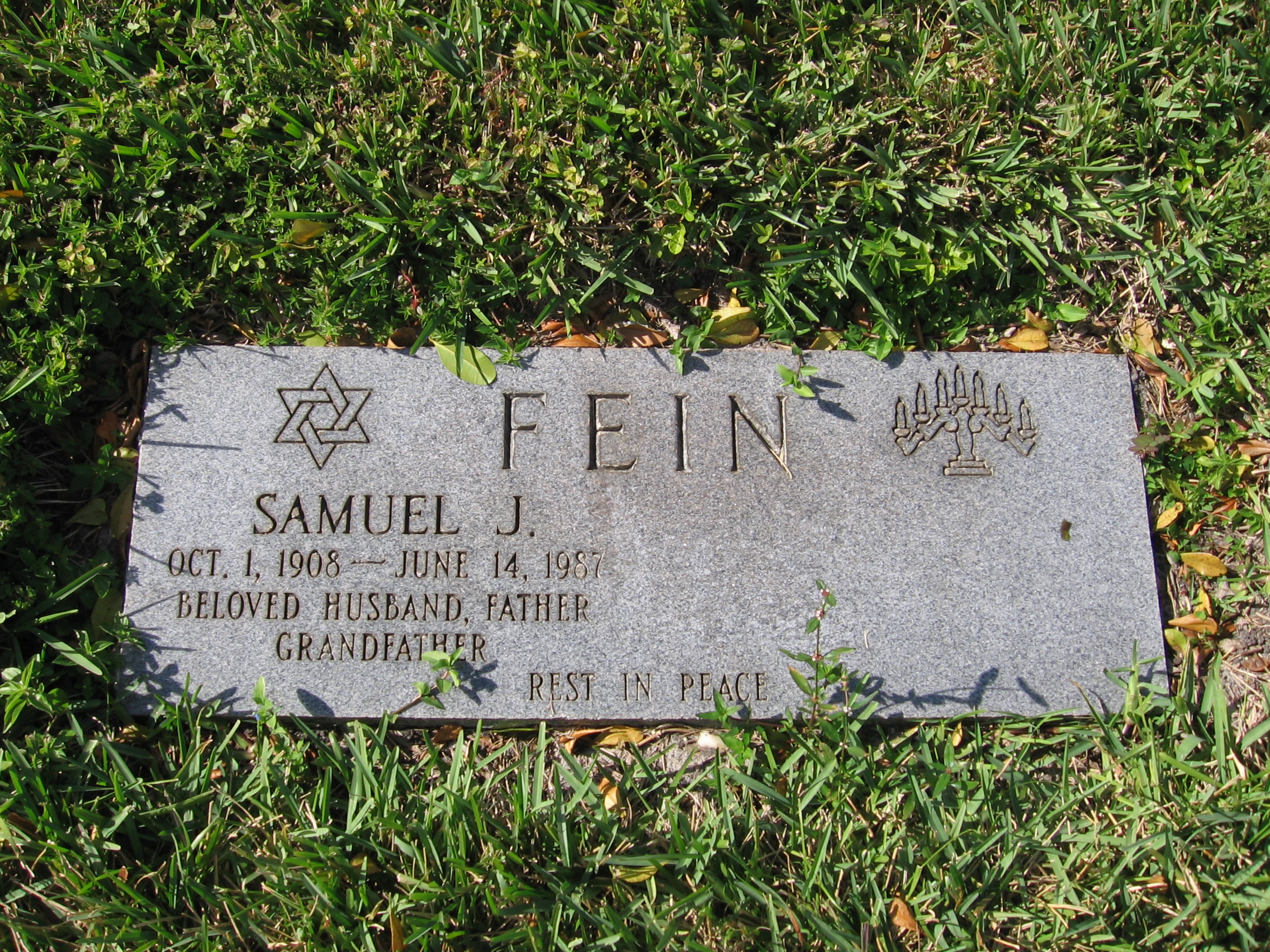 Samuel J Fein