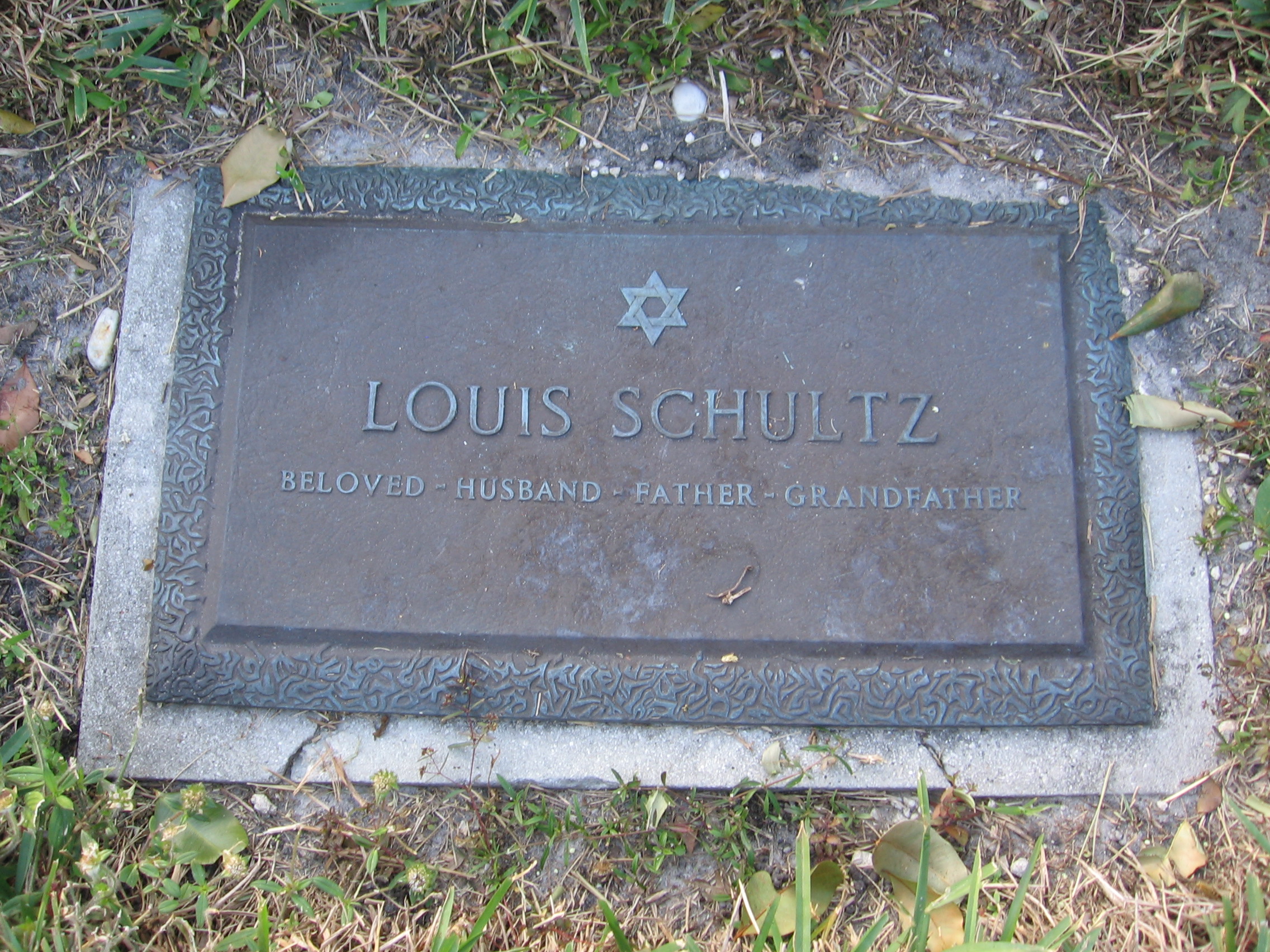 Louis Schultz