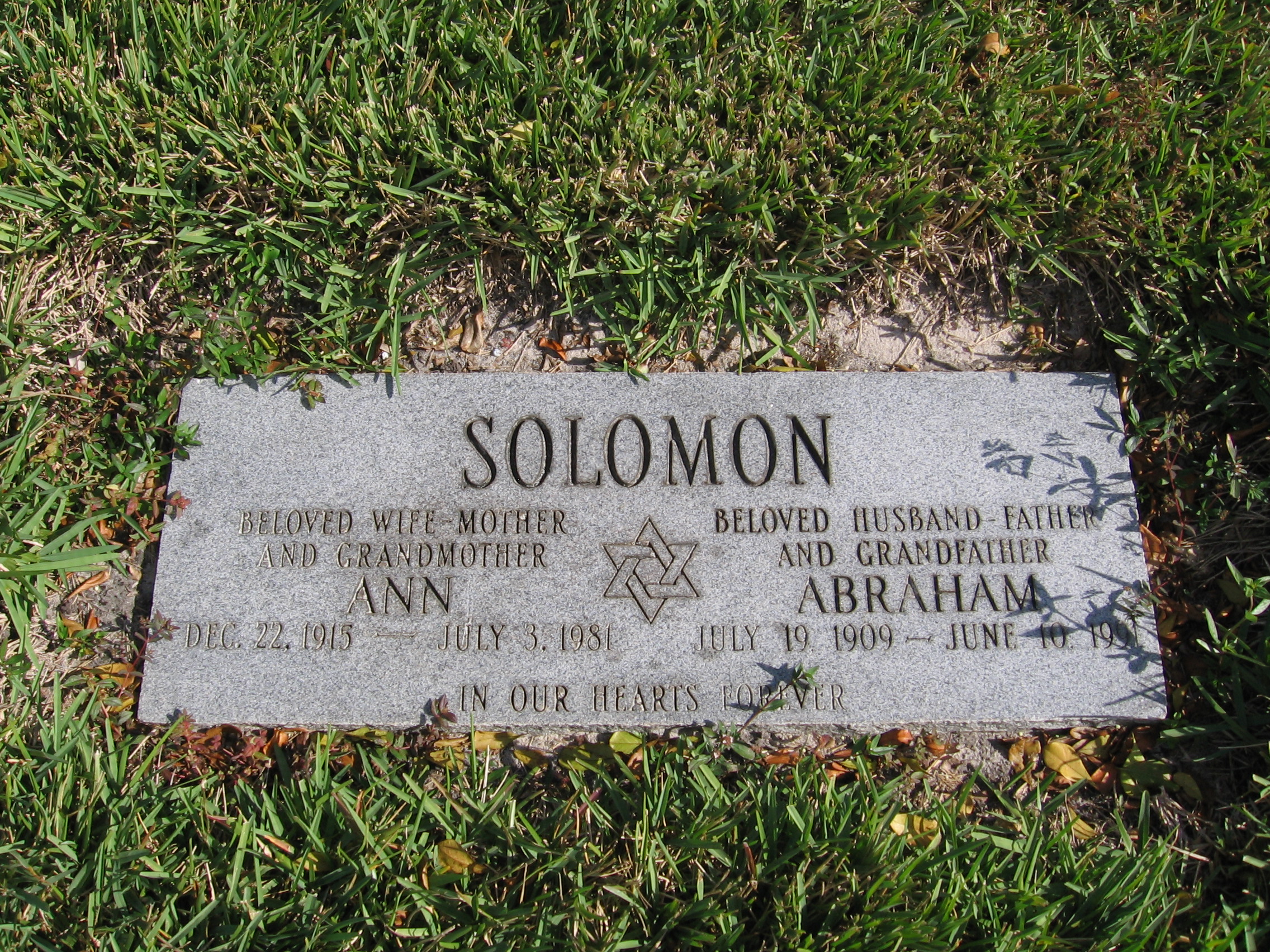 Ann Solomon