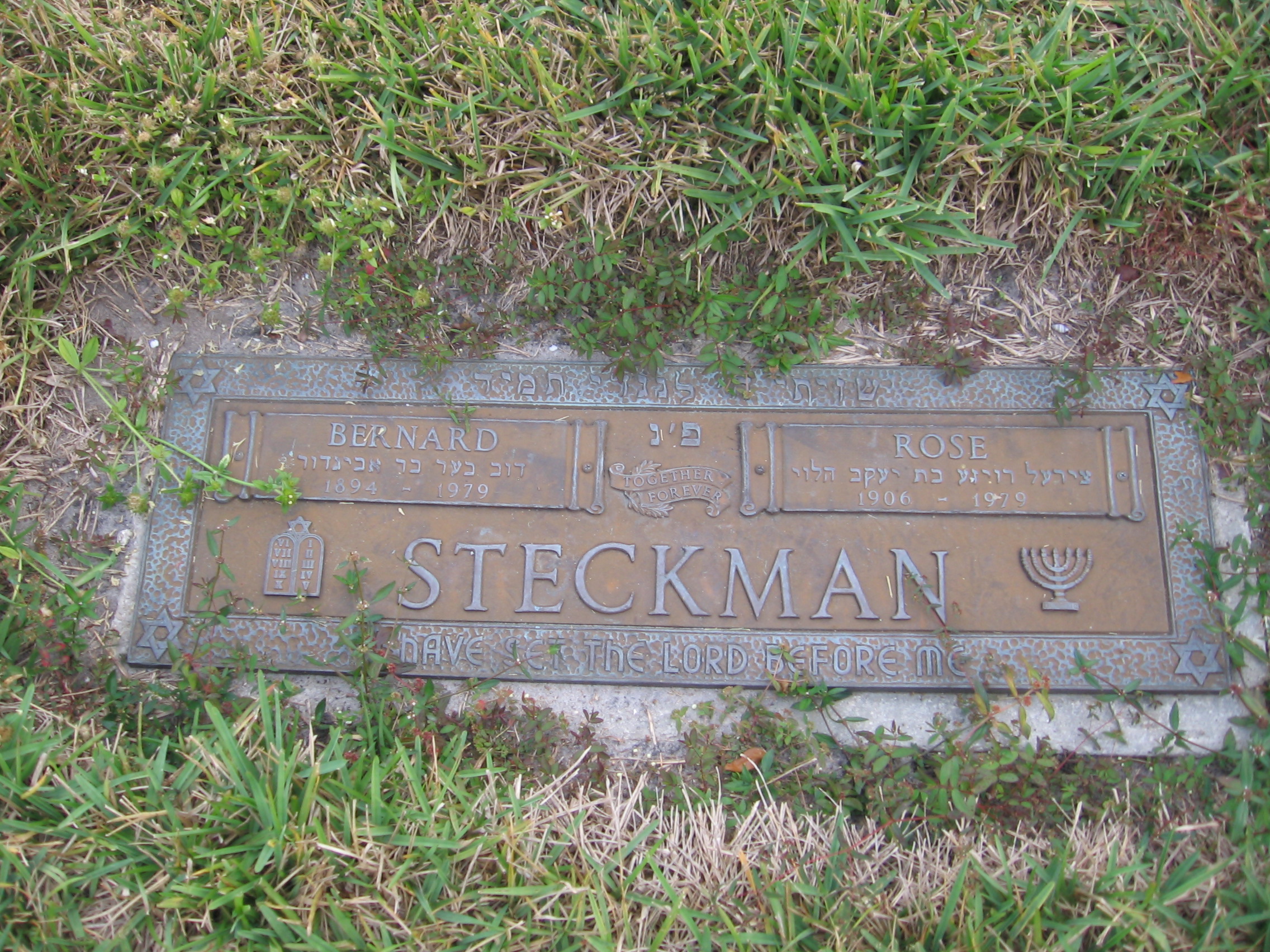 Rose Steckman