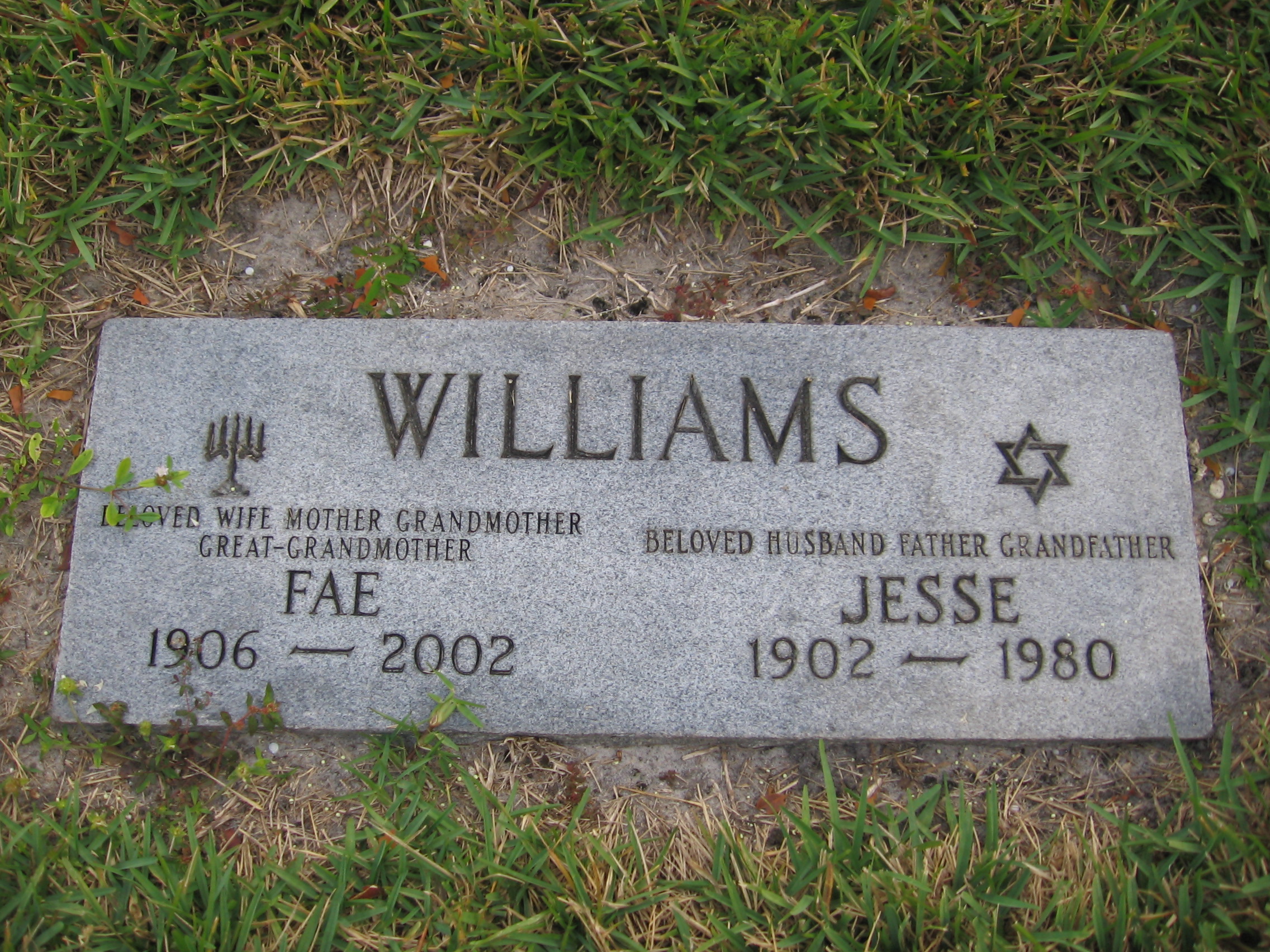 Jesse Williams
