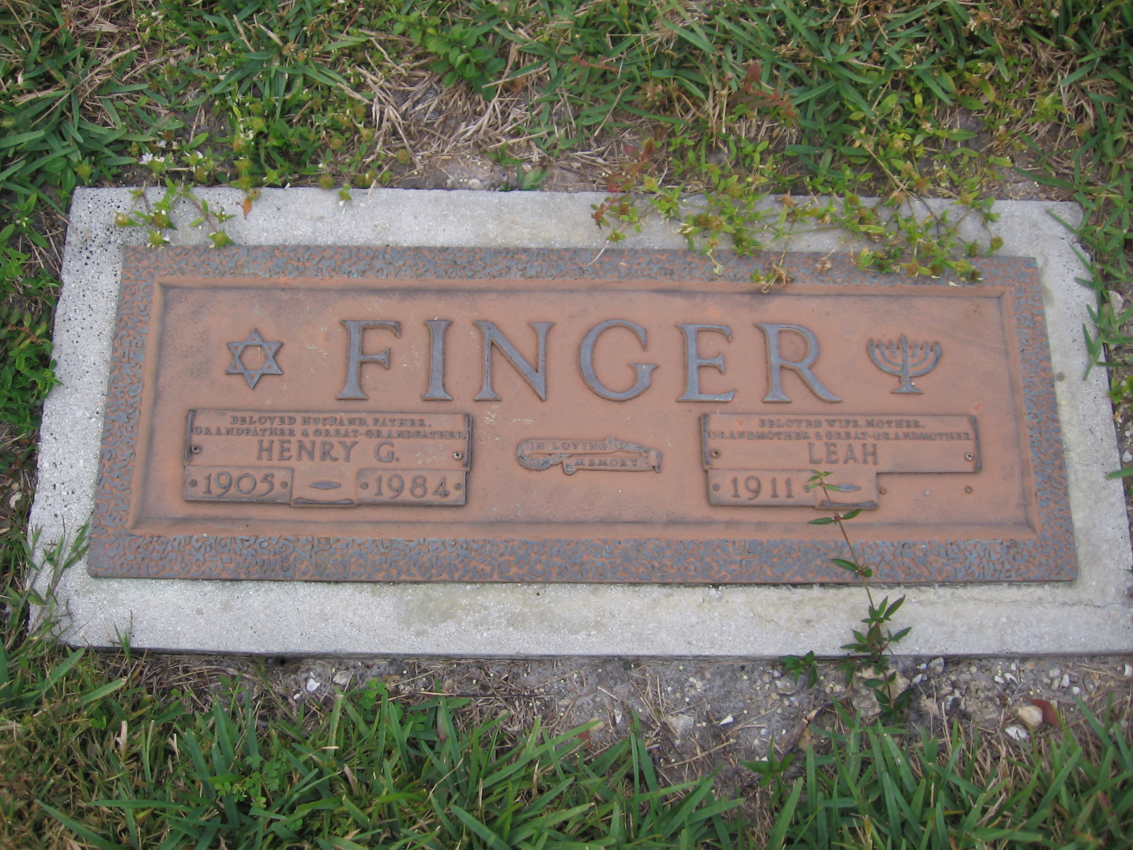 Henry G Finger