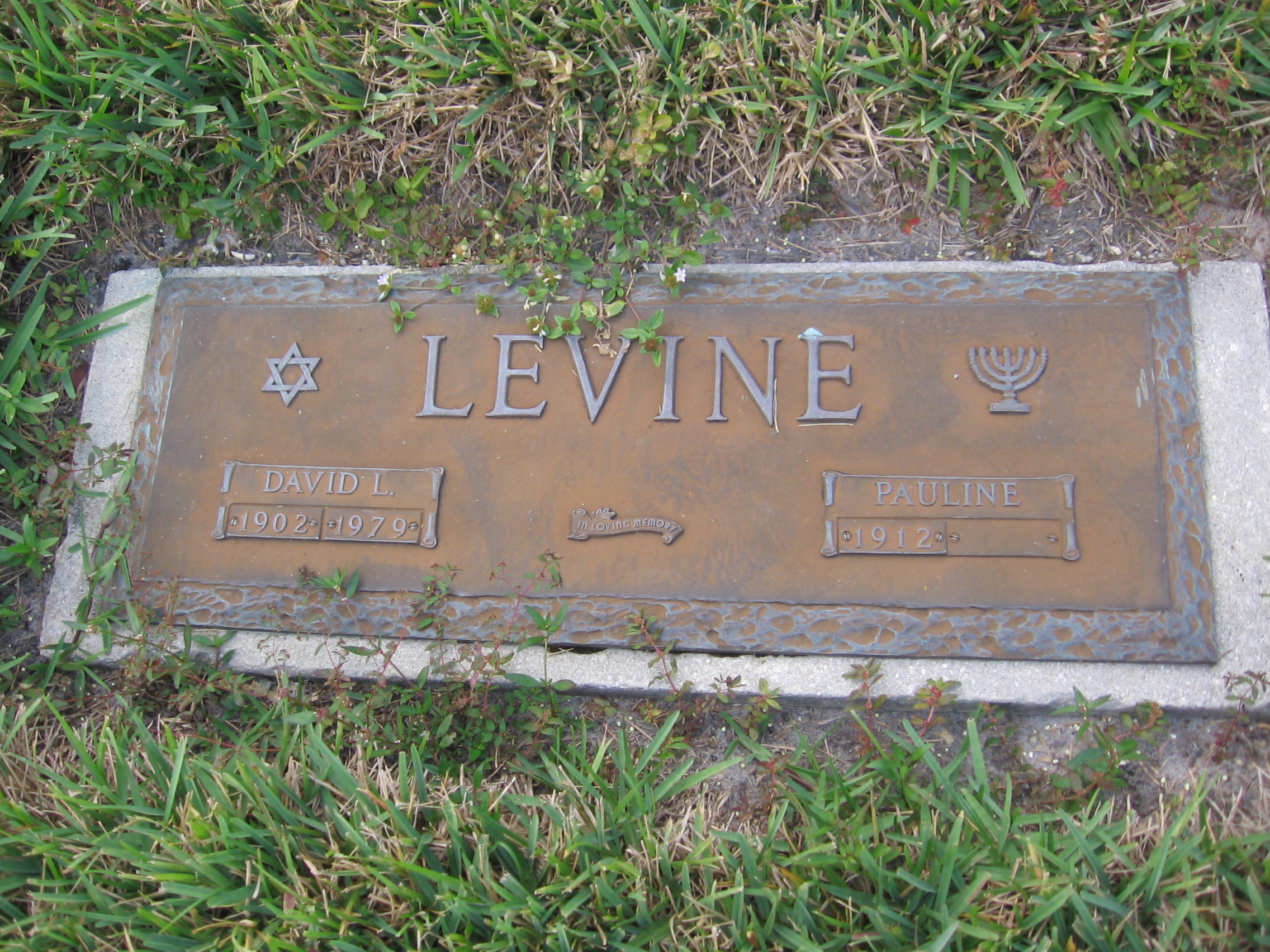 David L Levine