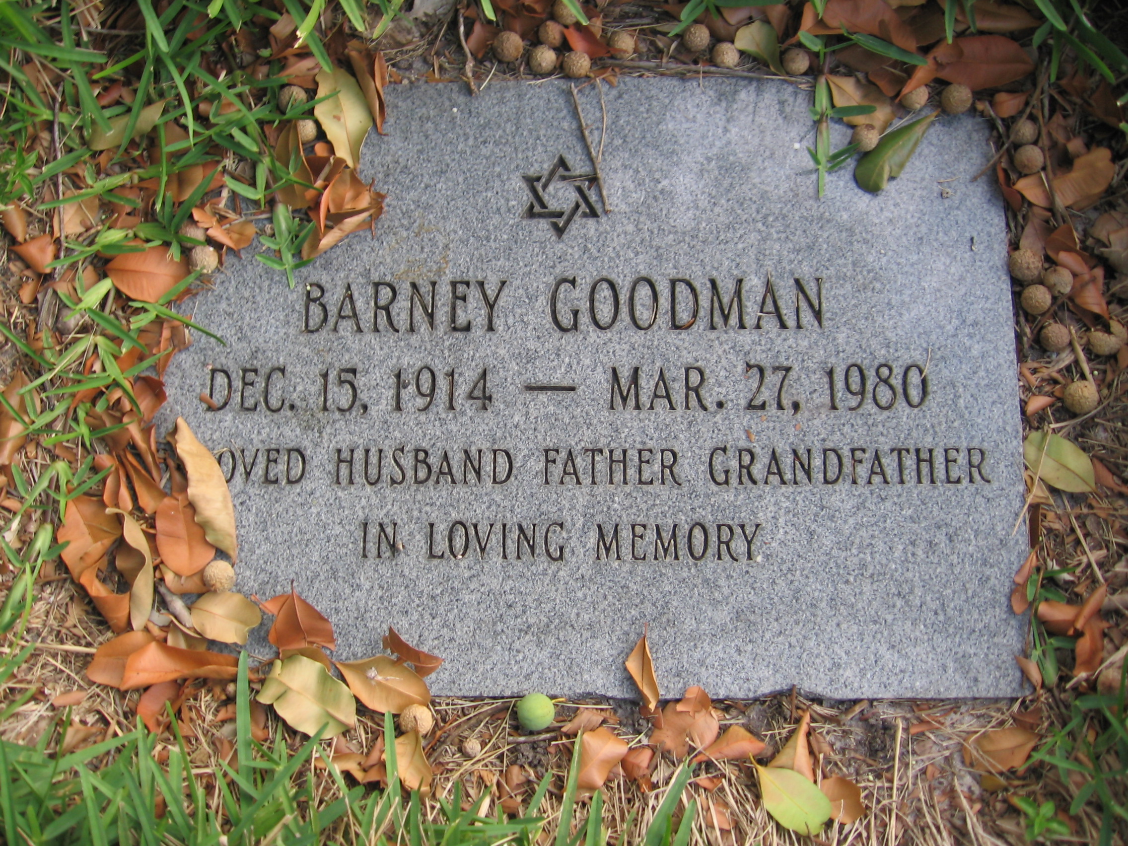 Barney Goodman