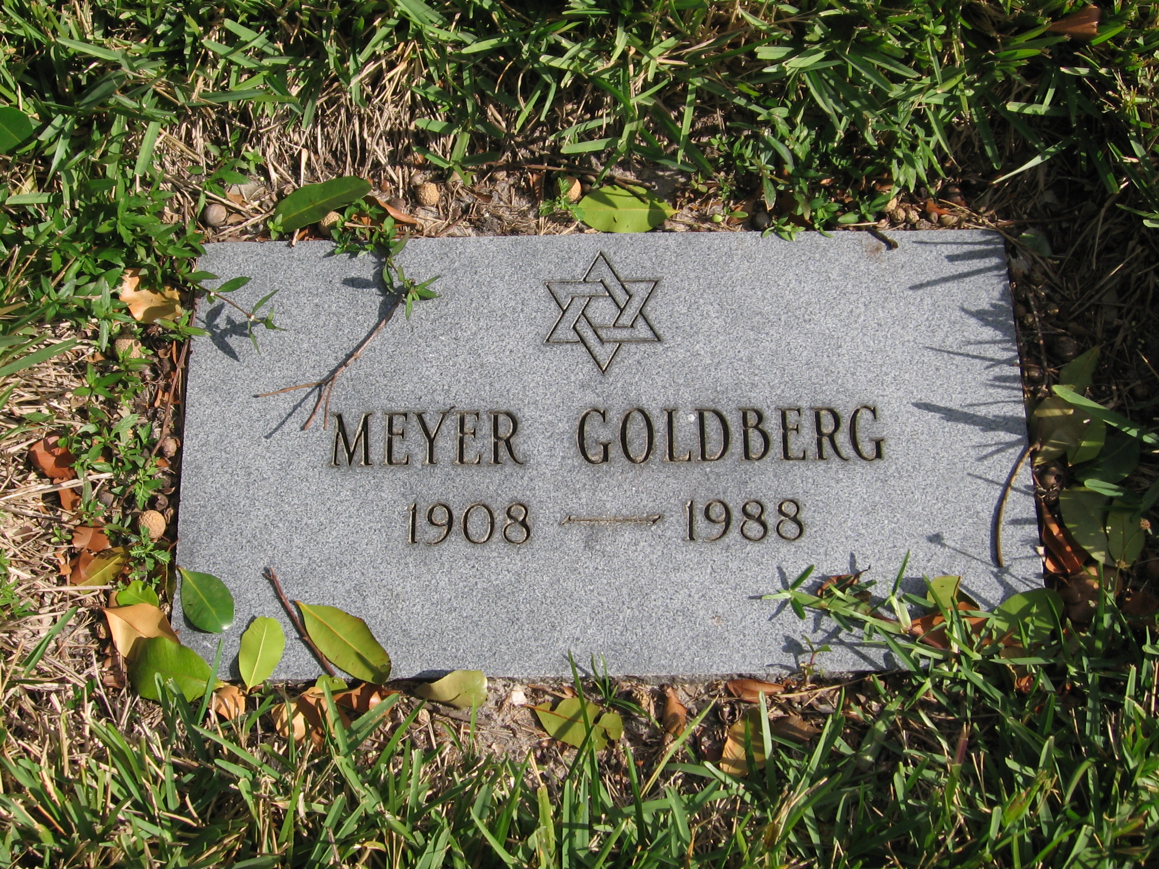 Meyer Goldberg