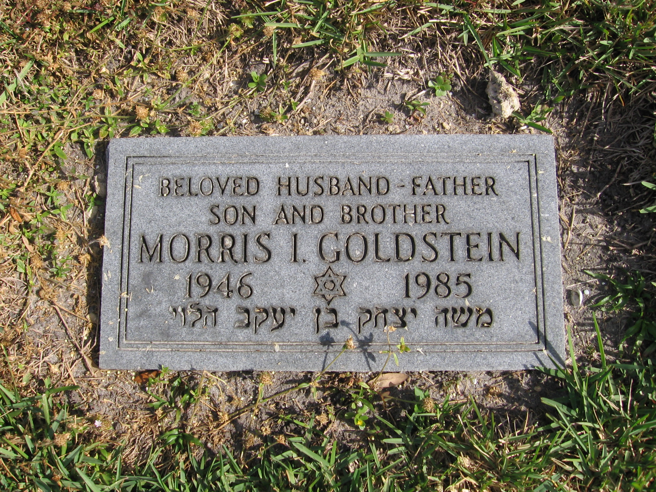 Morris I Goldstein