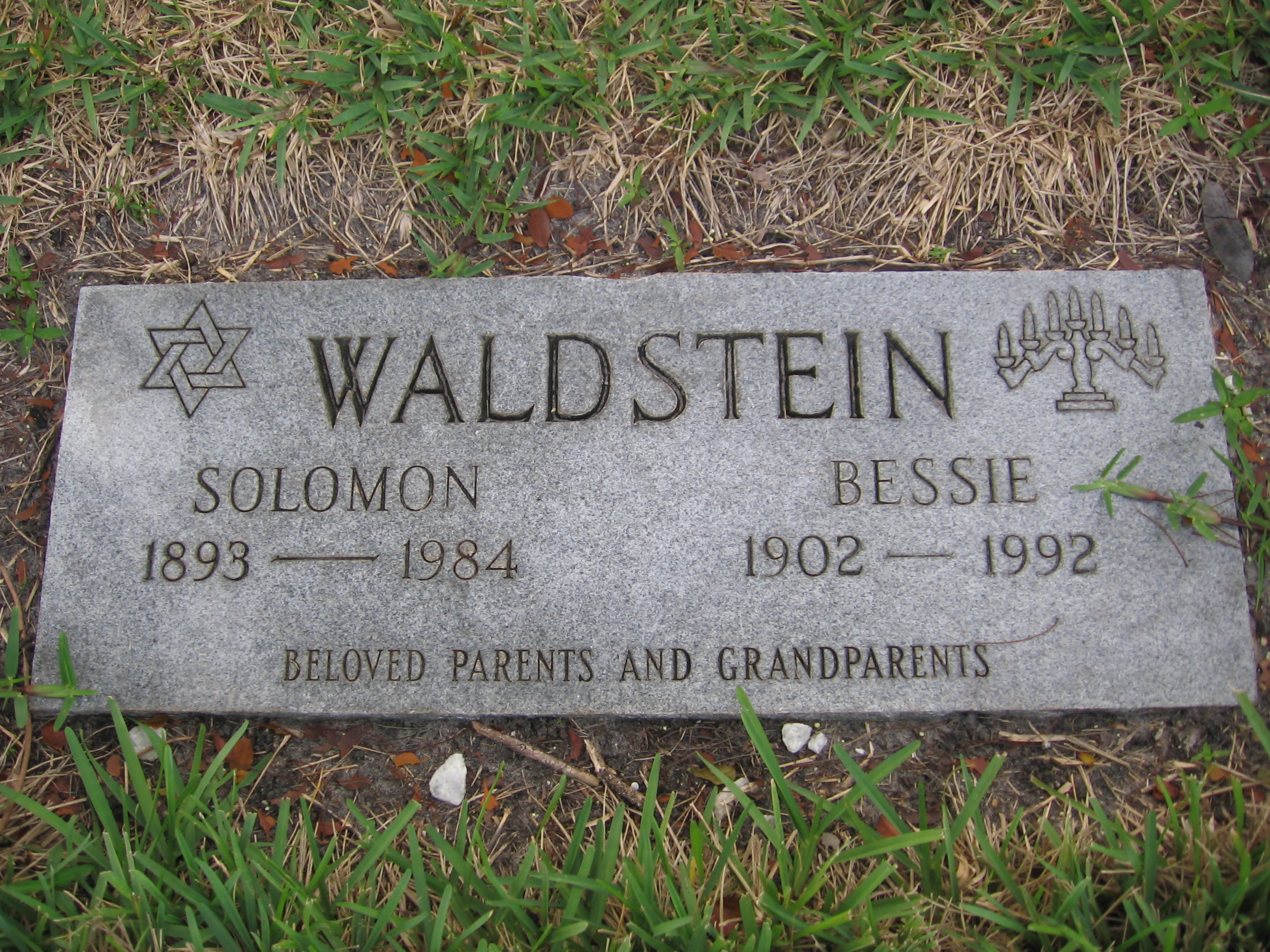 Bessie Waldstein