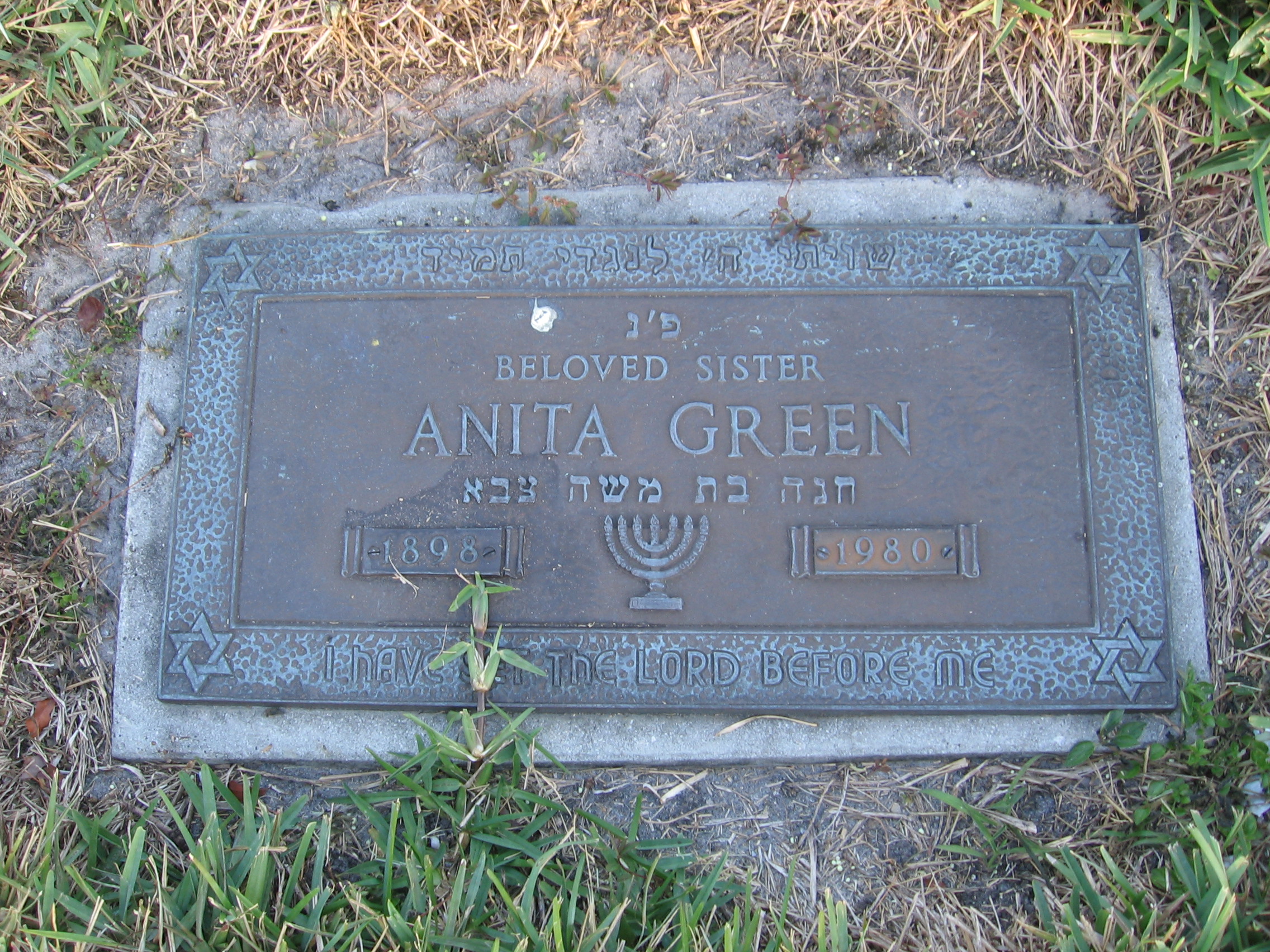 Anita Green