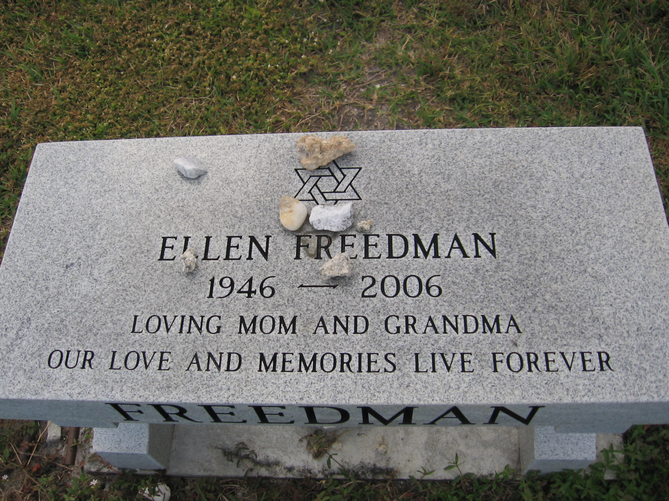 Ellen Freedman