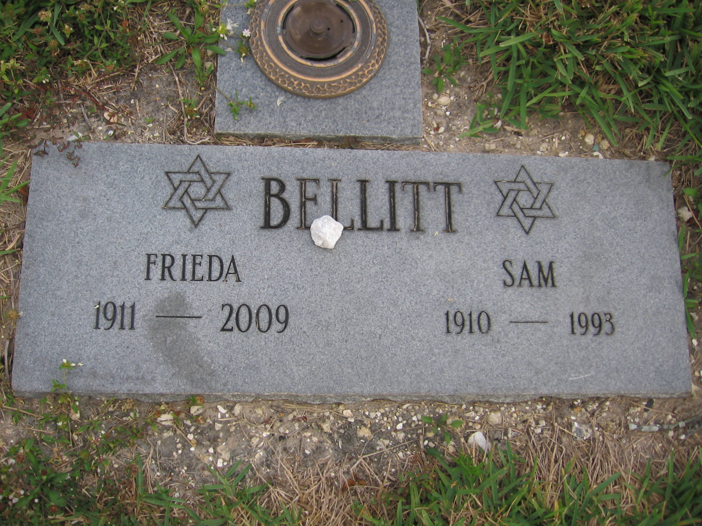 Frieda Bellitt