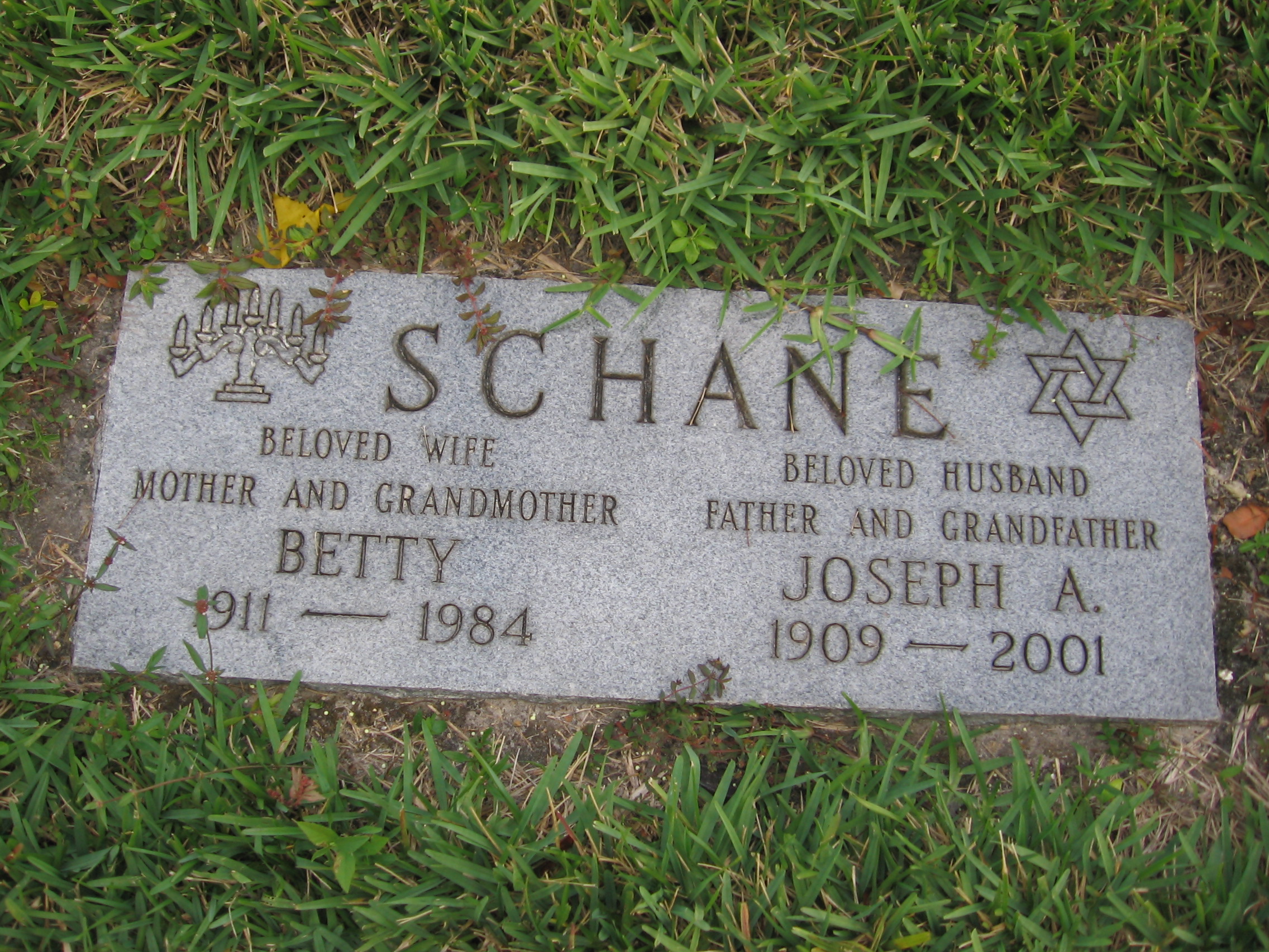 Joseph A Schane