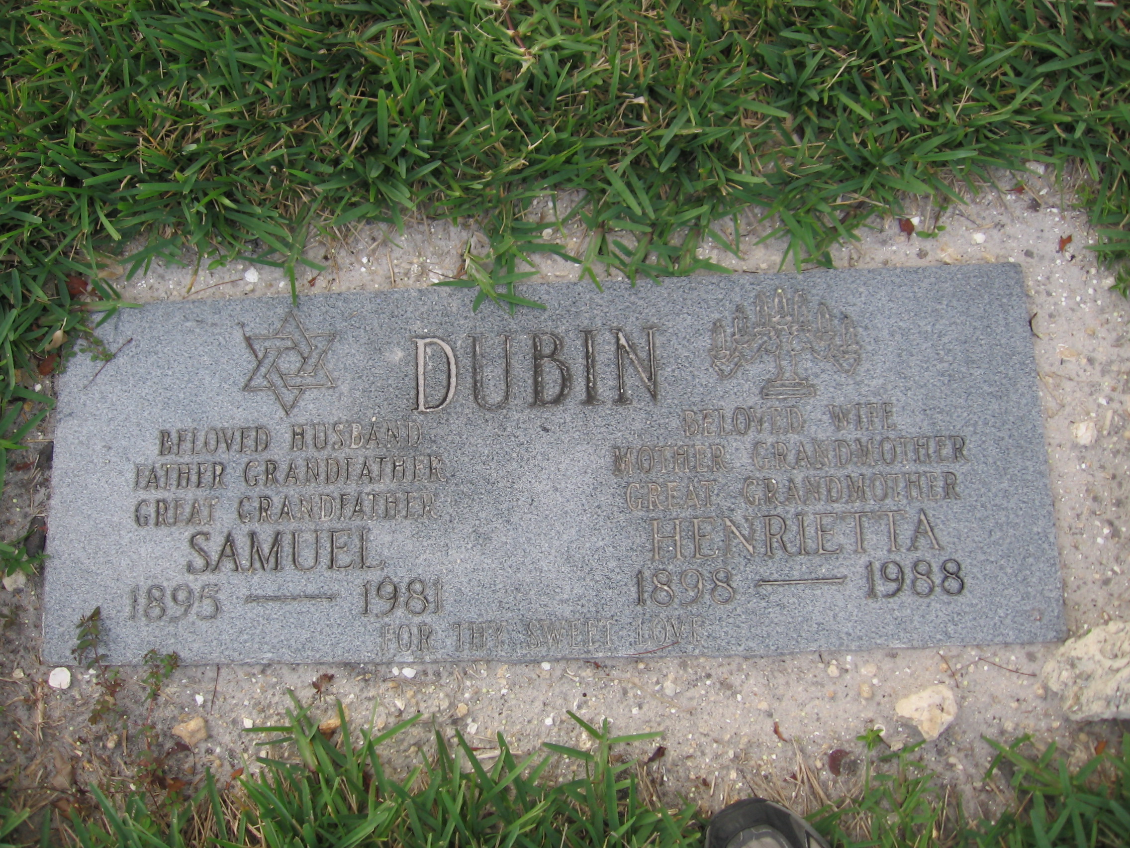 Samuel Dubin