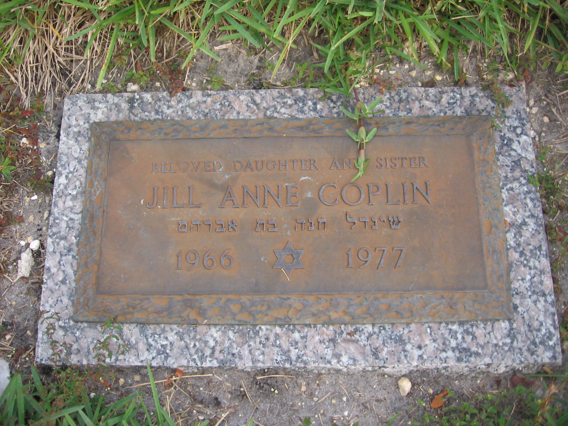 Jill Anne Coplin