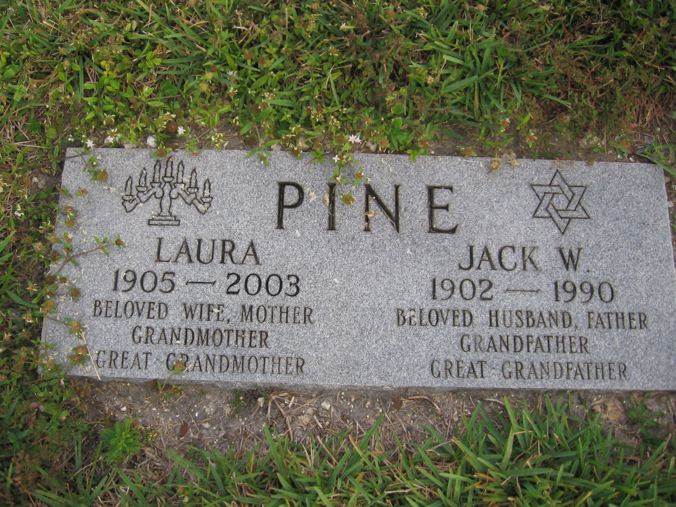 Laura Pine