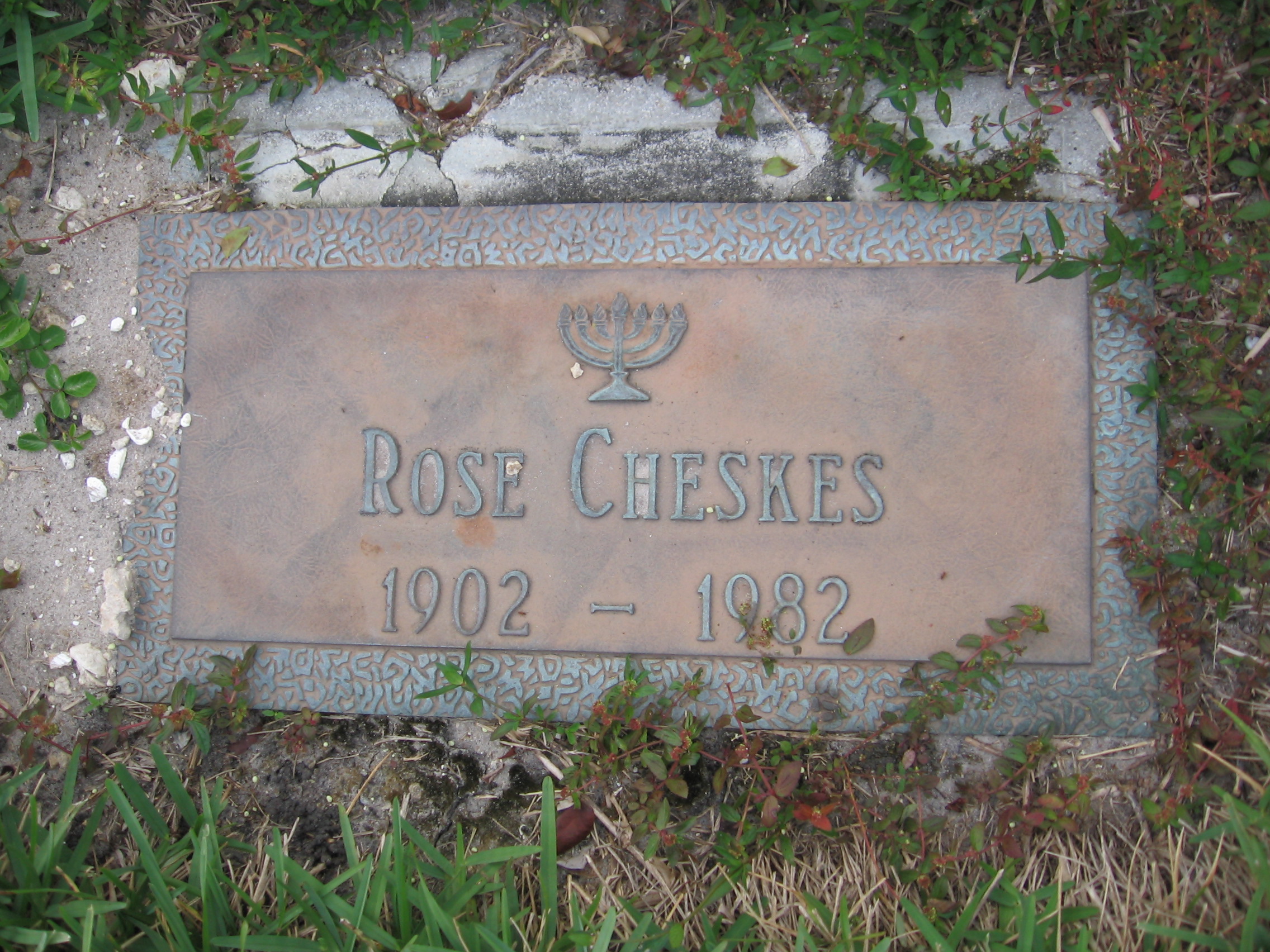 Rose Cheskes