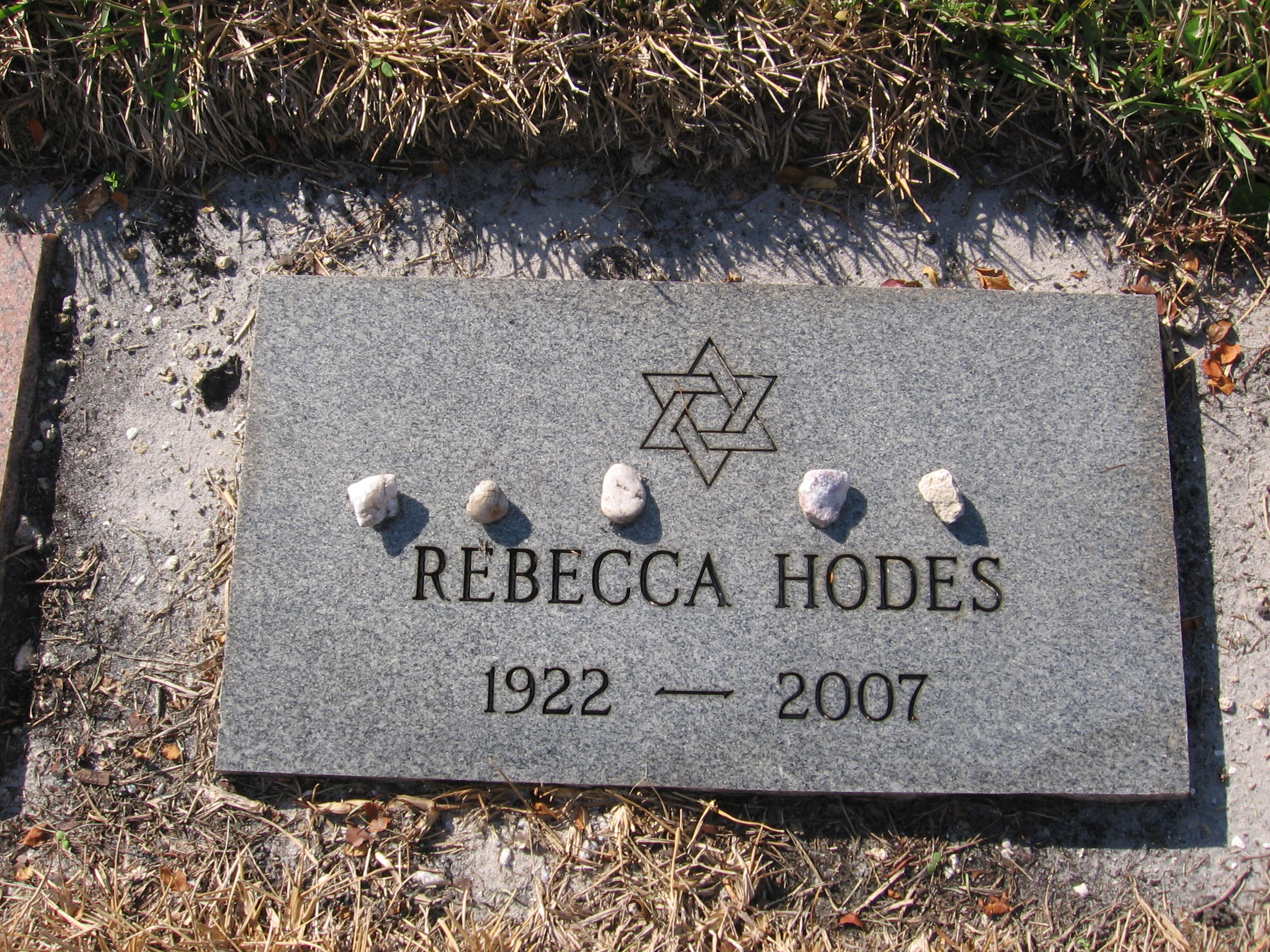 Rebecca Hodes