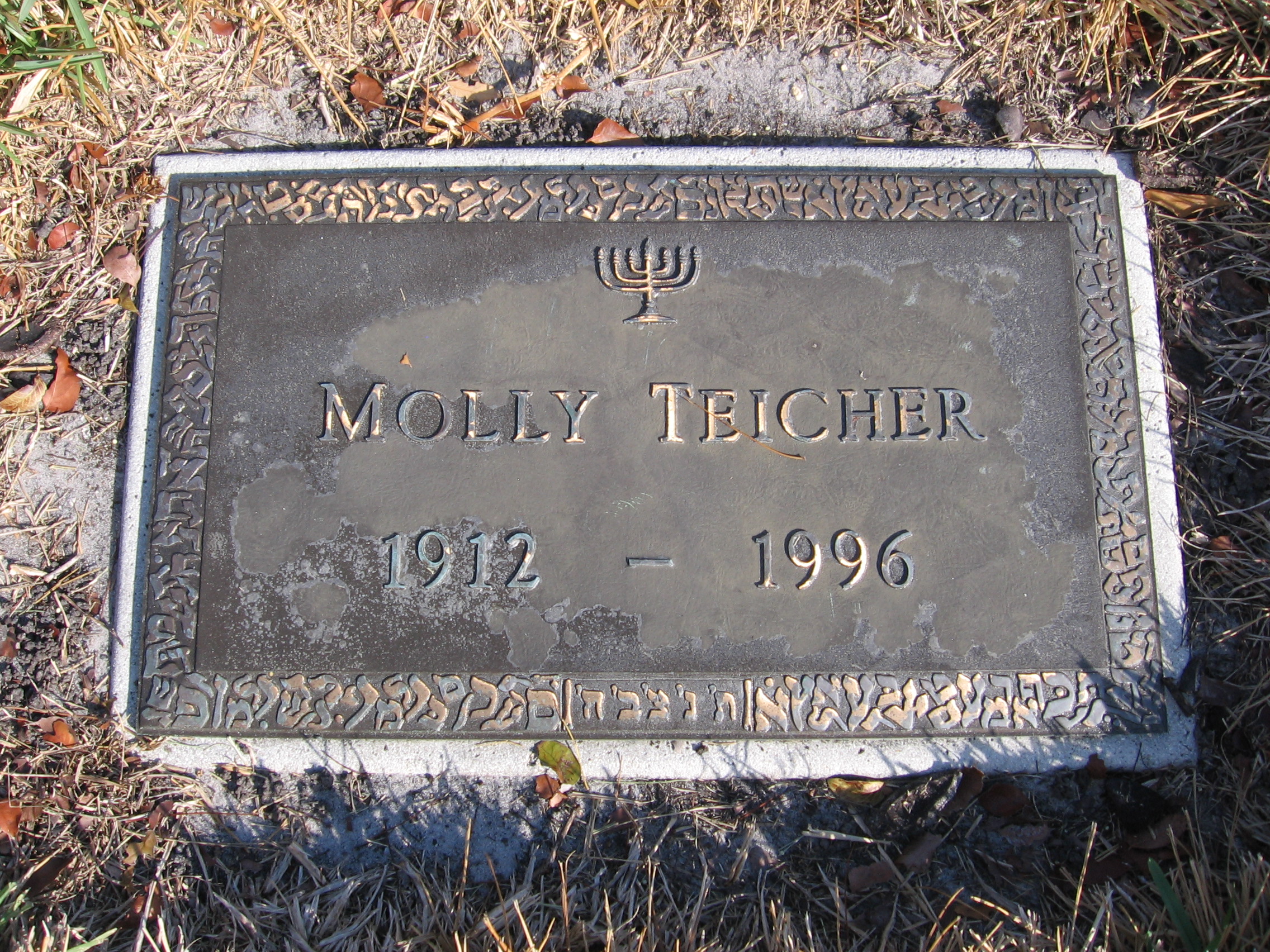 Molly Teicher