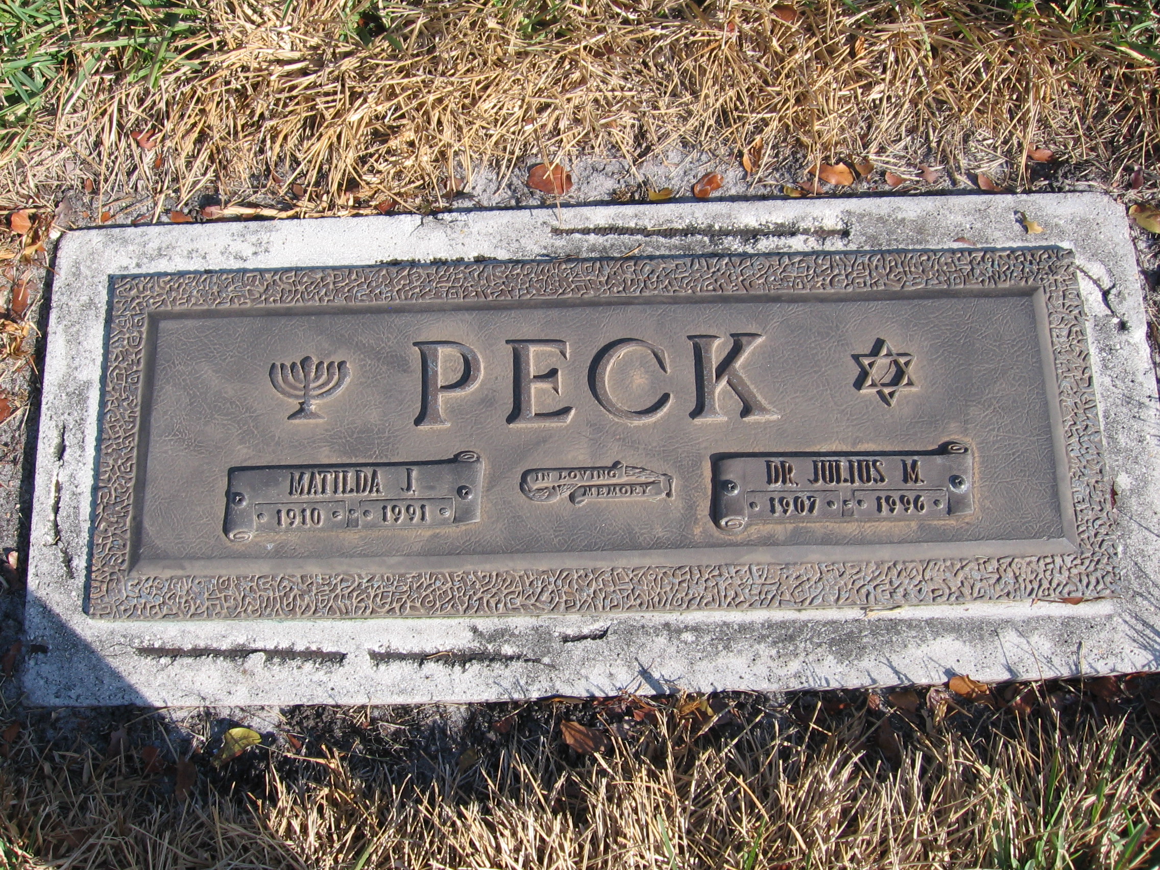 Dr Julius M Peck