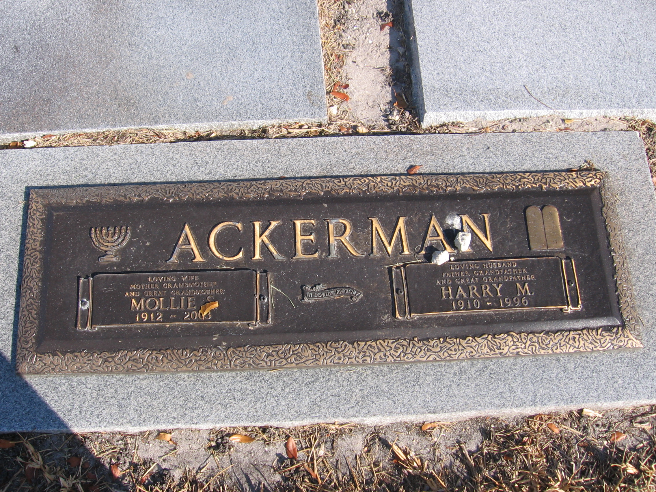 Harry M Ackerman