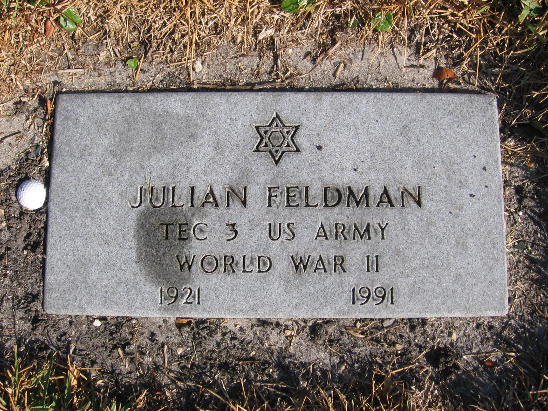 Julian Feldman