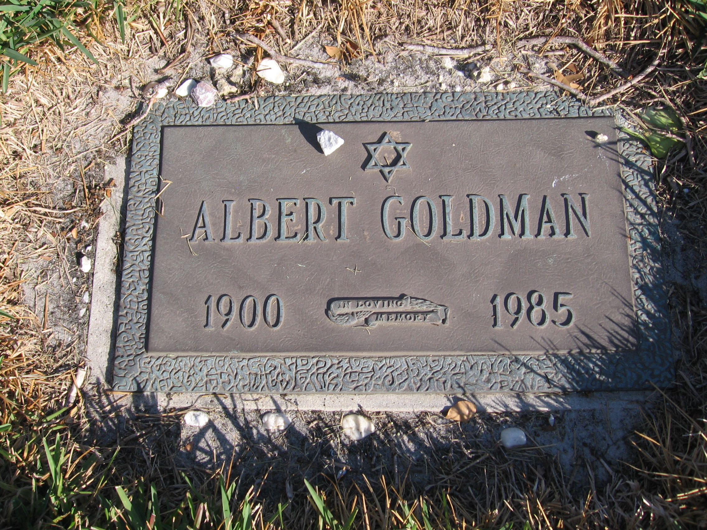 Albert Goldman